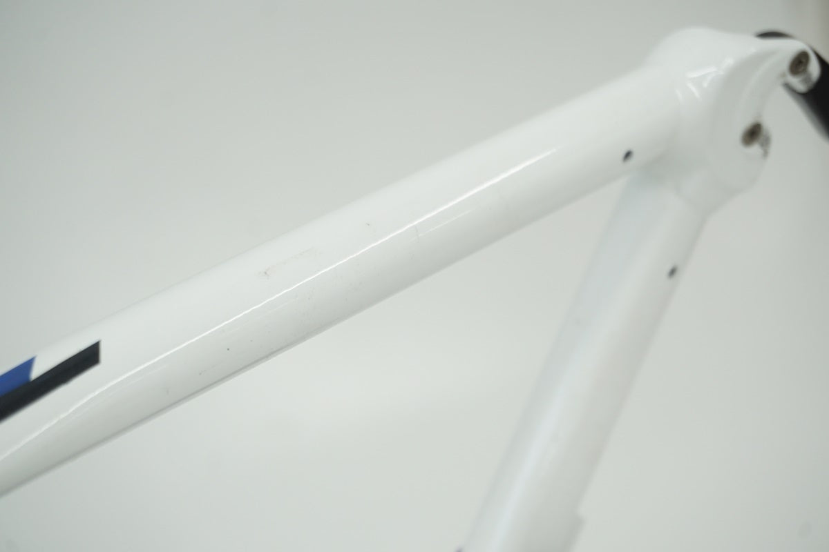 salsa様 SALSA(サルサ)HORSETHIEF