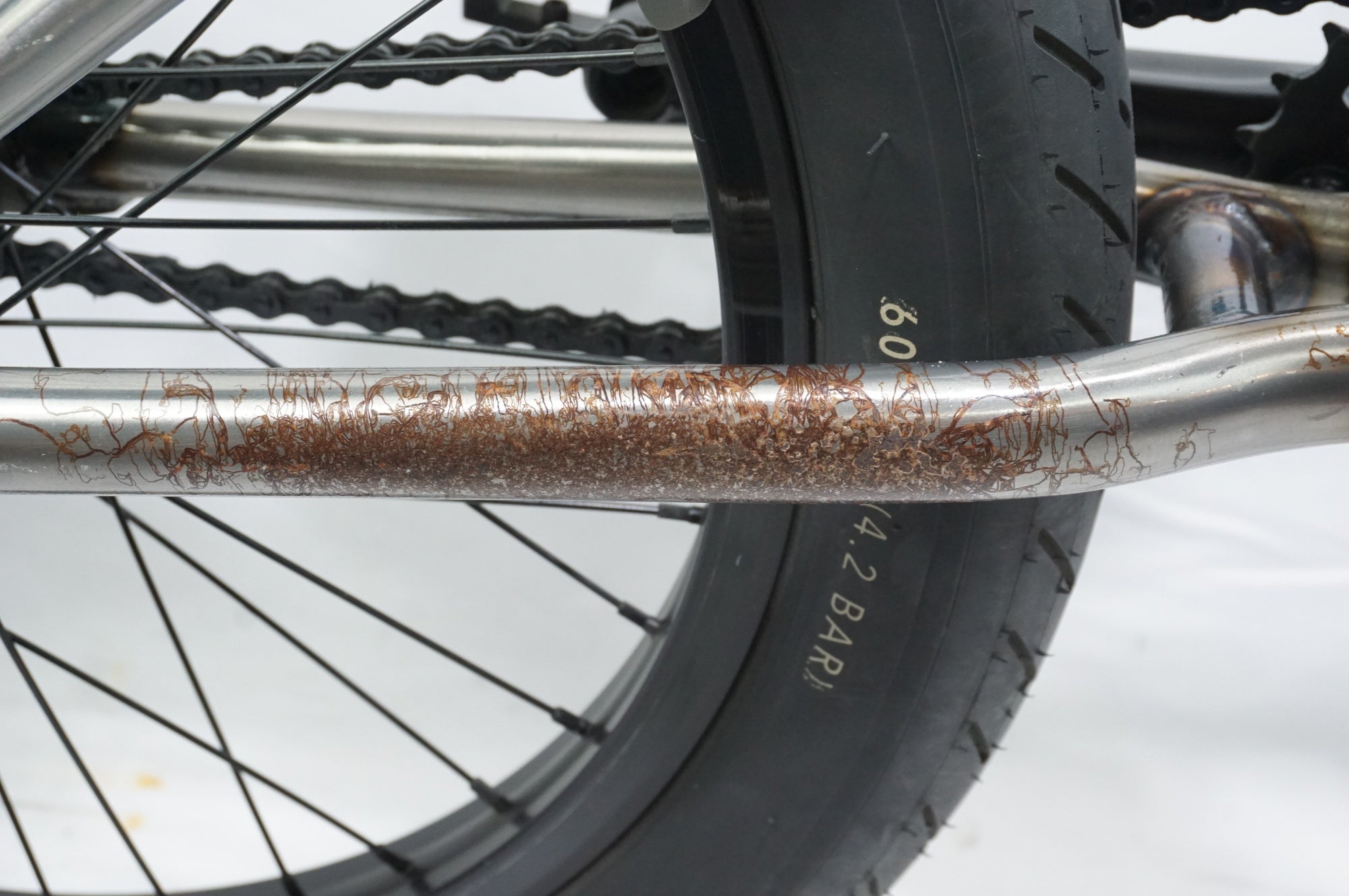 FIT BIKECO. 「フィットバイクカンパニー」 DUGAN2 2015年モデル BMX / 中目黒店