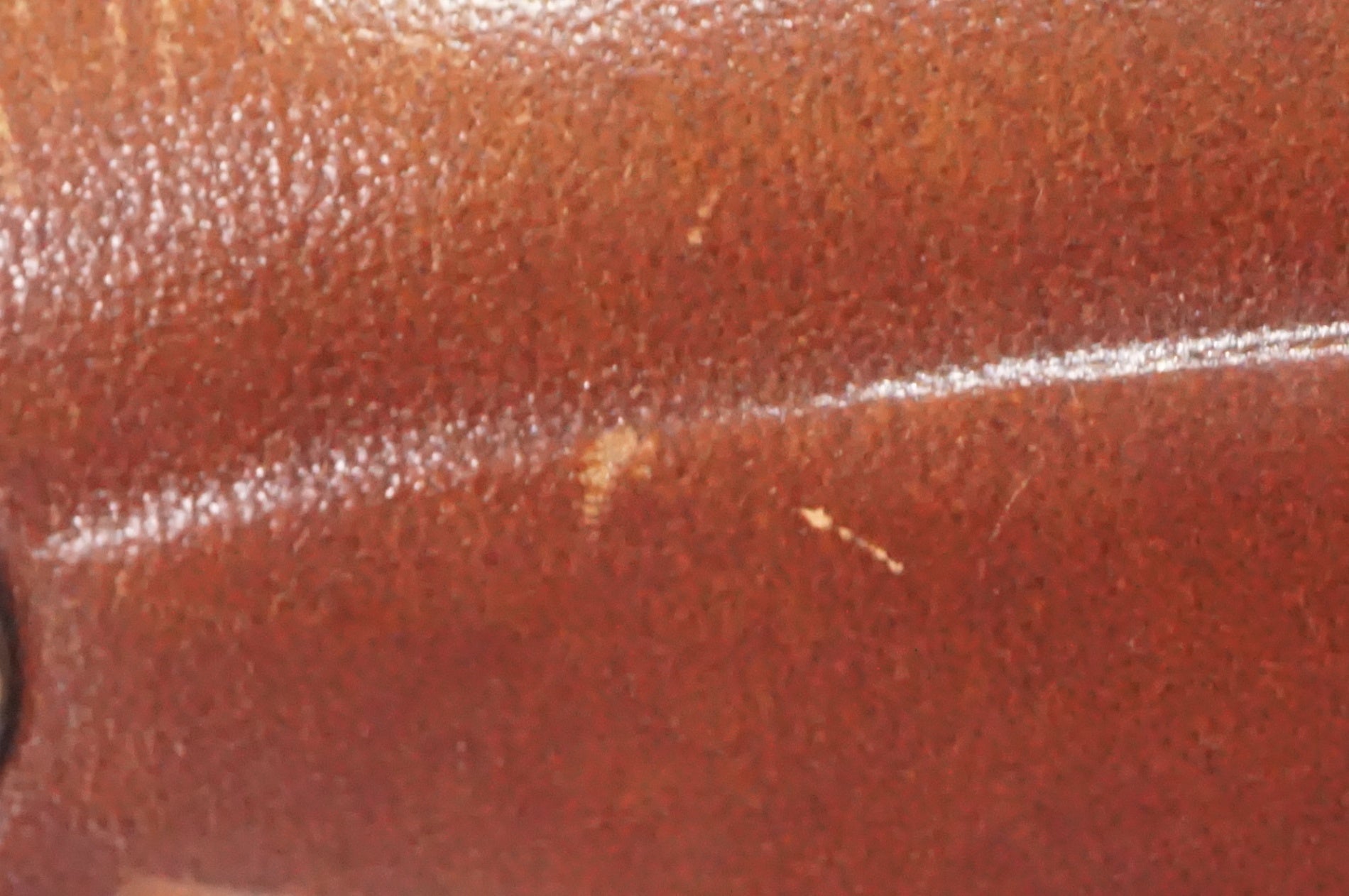 BROOKS 「ブルックス」 FLYER SPECIAL サドル / AKIBA店