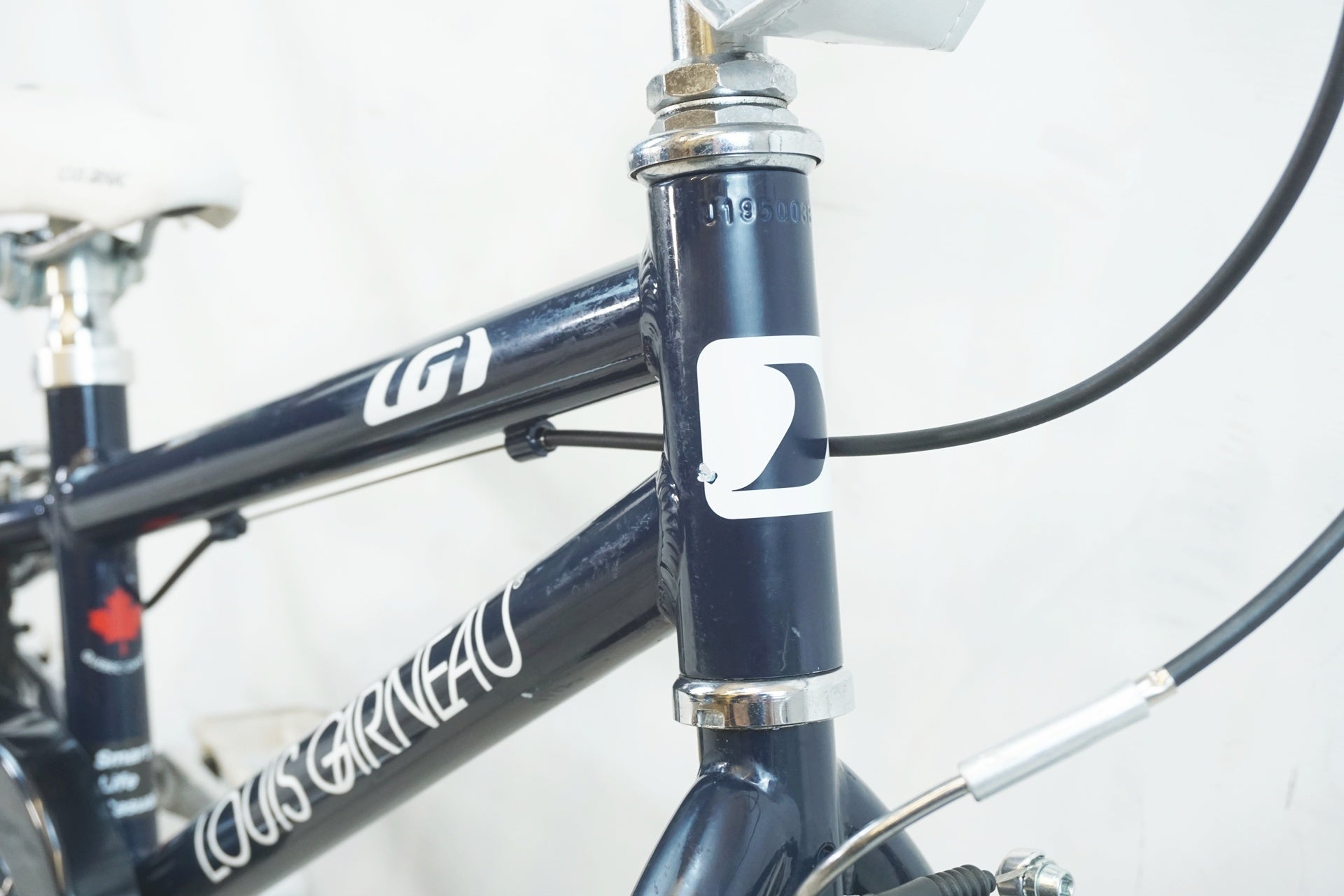 LOUIS GARNEAU 「ルイガノ」 LGS-K16 2020年頃 キッズバイク / 有明