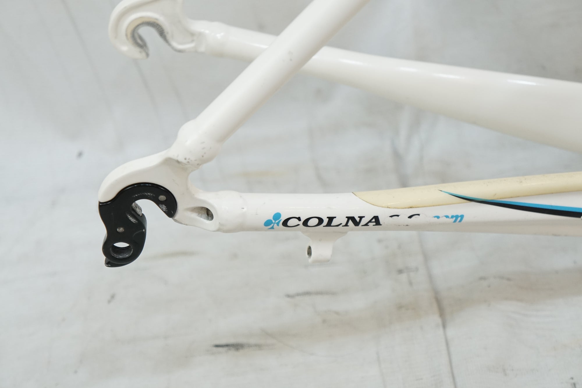 COLNAGO Primaveraフレーム $_57.JPG?set_id=880000500F