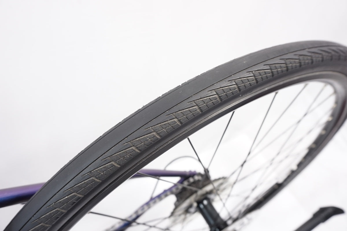 TREK 「トレック」 FX3 WSD DISC 2020-2021年モデル クロス