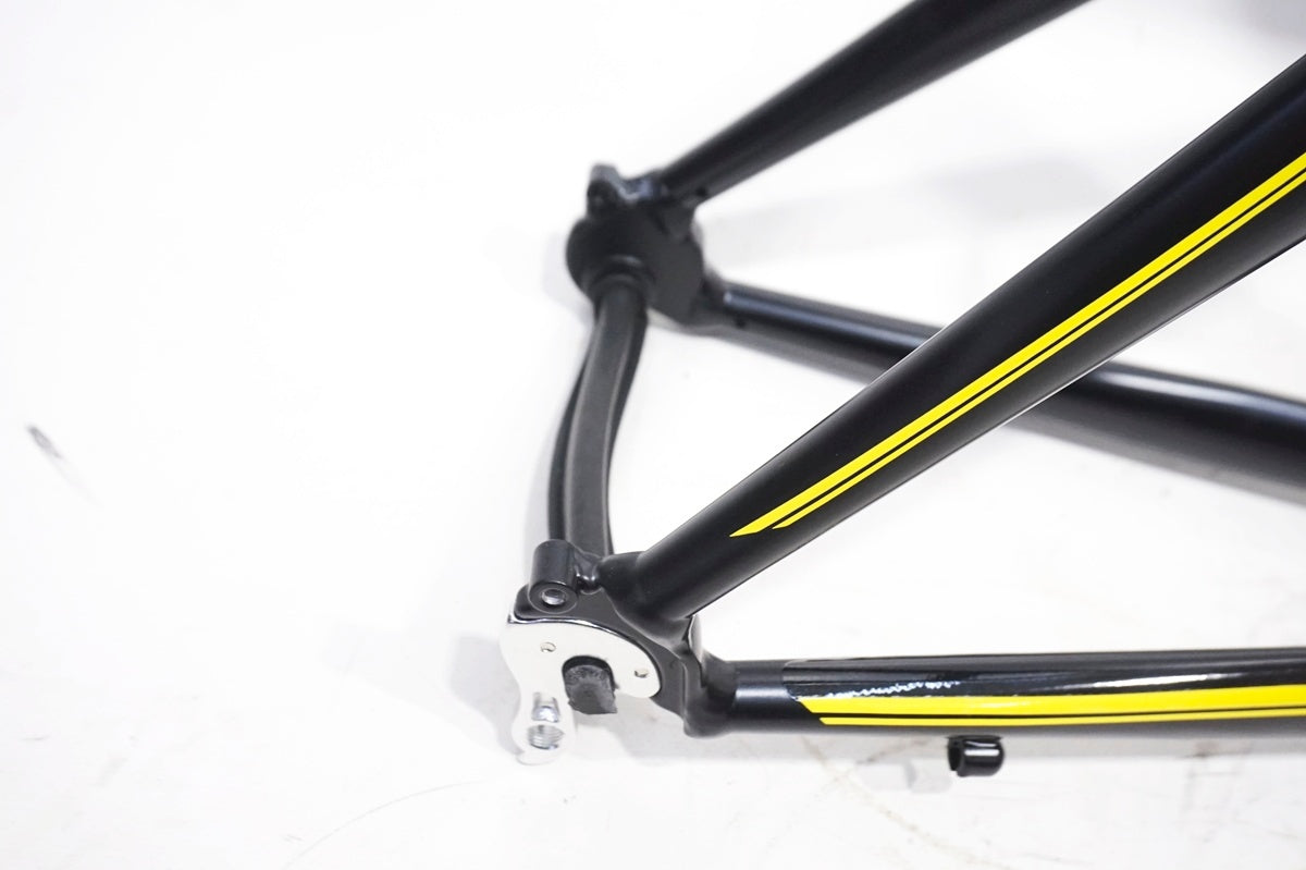 TERN 「ターン」 SURGE PRO 2020年モデル フレームセット / 大阪門真店