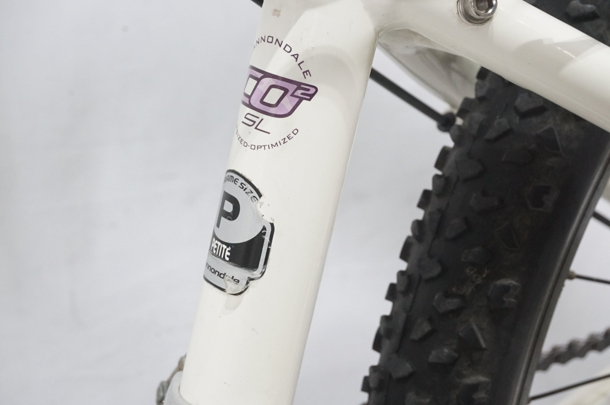 CANNONDALE 「キャノンデール」 F6 FEMINIE 2009年モデル マウンテンバイク / AKIBA店