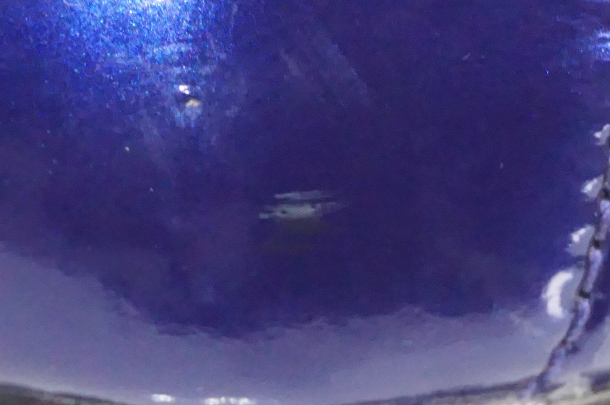 LAKE 「レイク」 MX176 41サイズ シューズ / AKIBA店