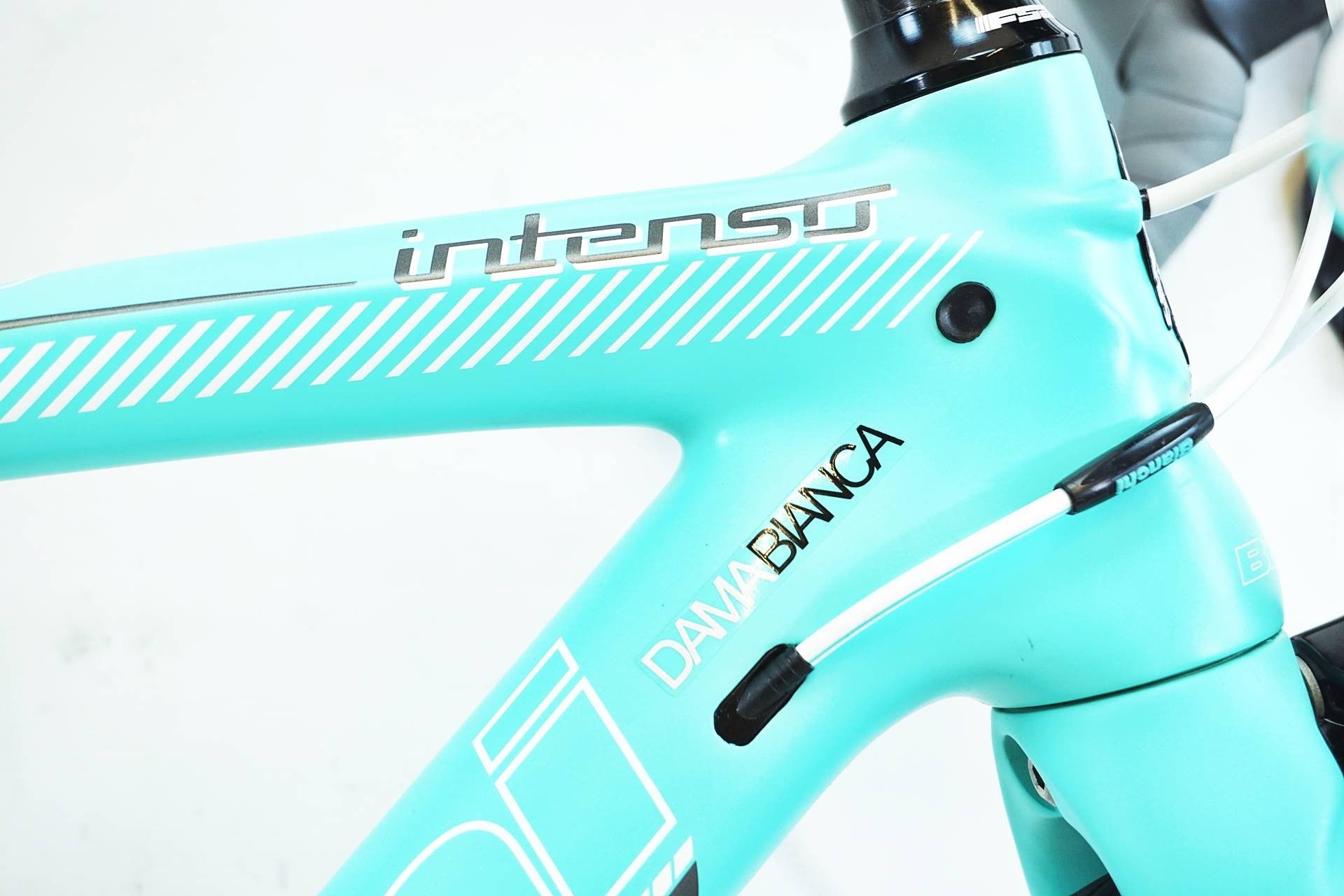 BIACHI 「ビアンキ」 DAMA BIANCA INTENSO 105 2017年モデル