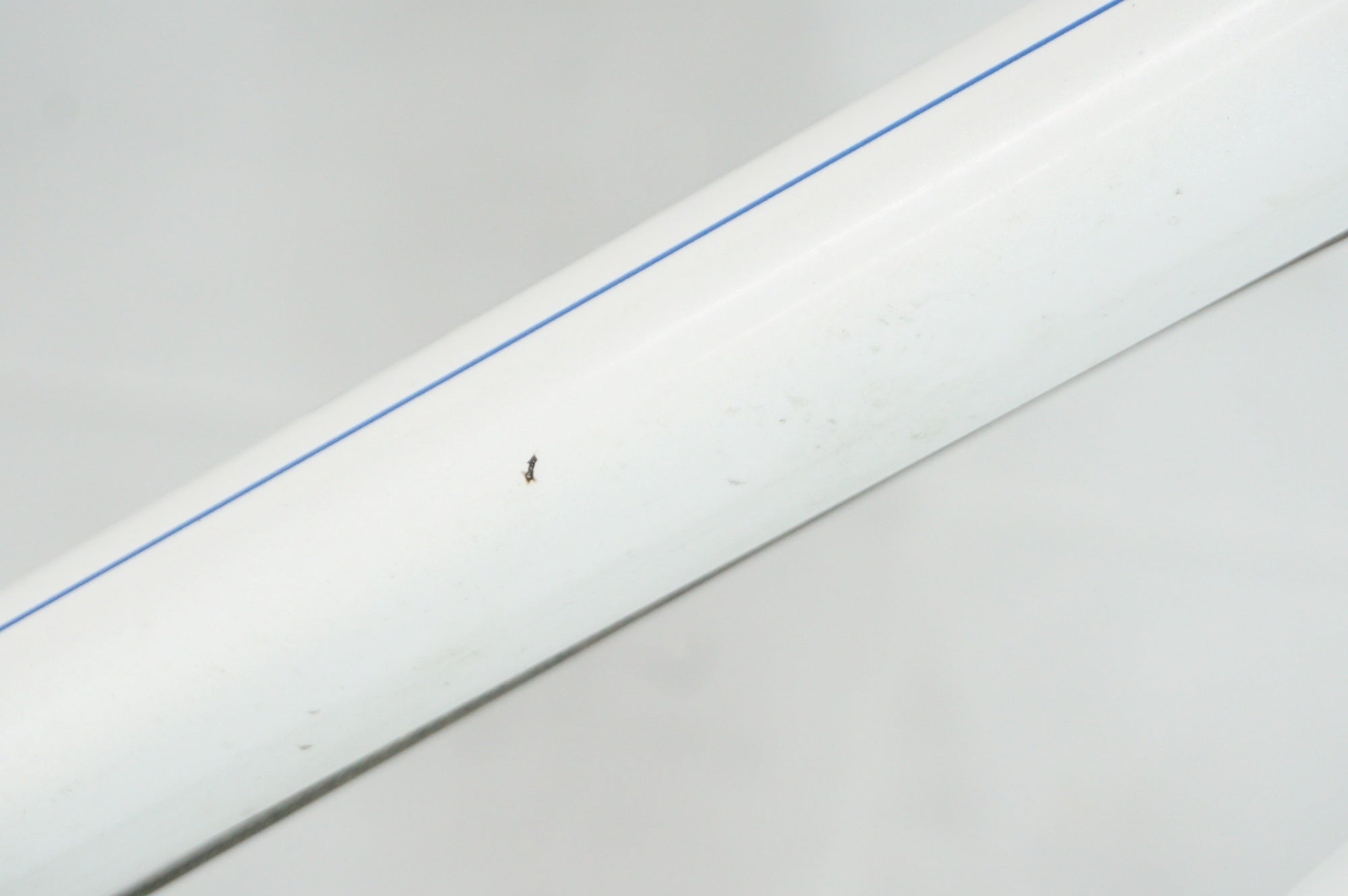 GIANT 「ジャイアント」 LIV ALIGHT24 2020年モデル 24インチ キッズバイク / 阪急塚口店