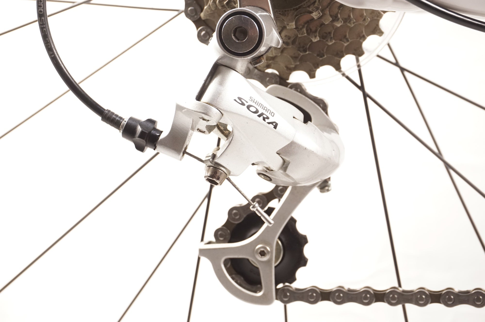 PINARELLO 「ピナレロ」 TREVISO 2011年モデル ロードバイク / 中目黒店