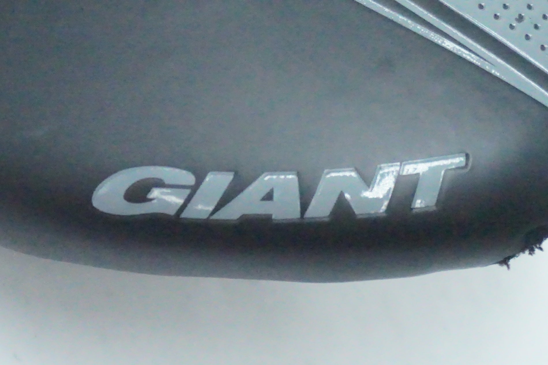 GIANT「ジャイアント」 サドル / 京都西院店