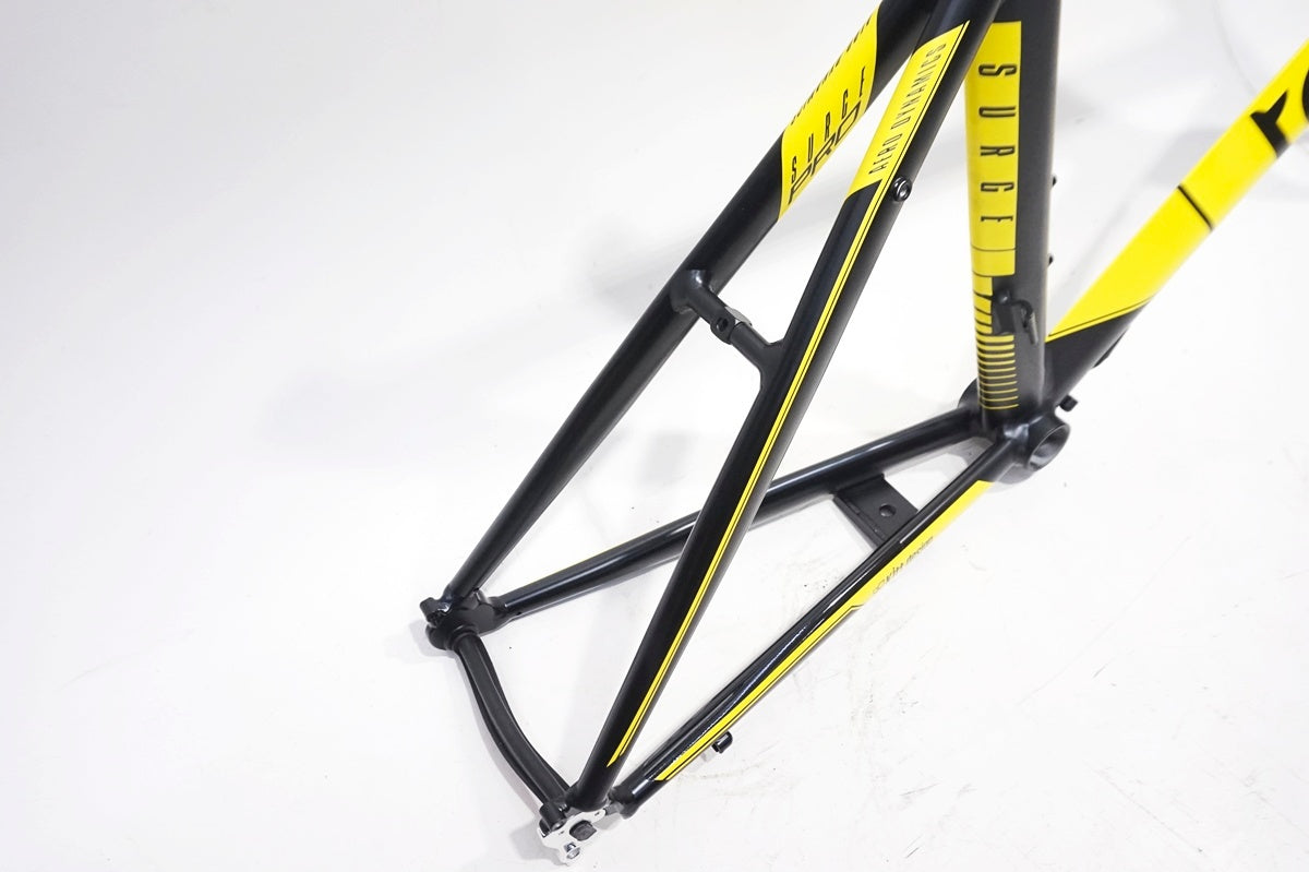 TERN 「ターン」 SURGE PRO 2020年モデル フレームセット / 大阪門真店
