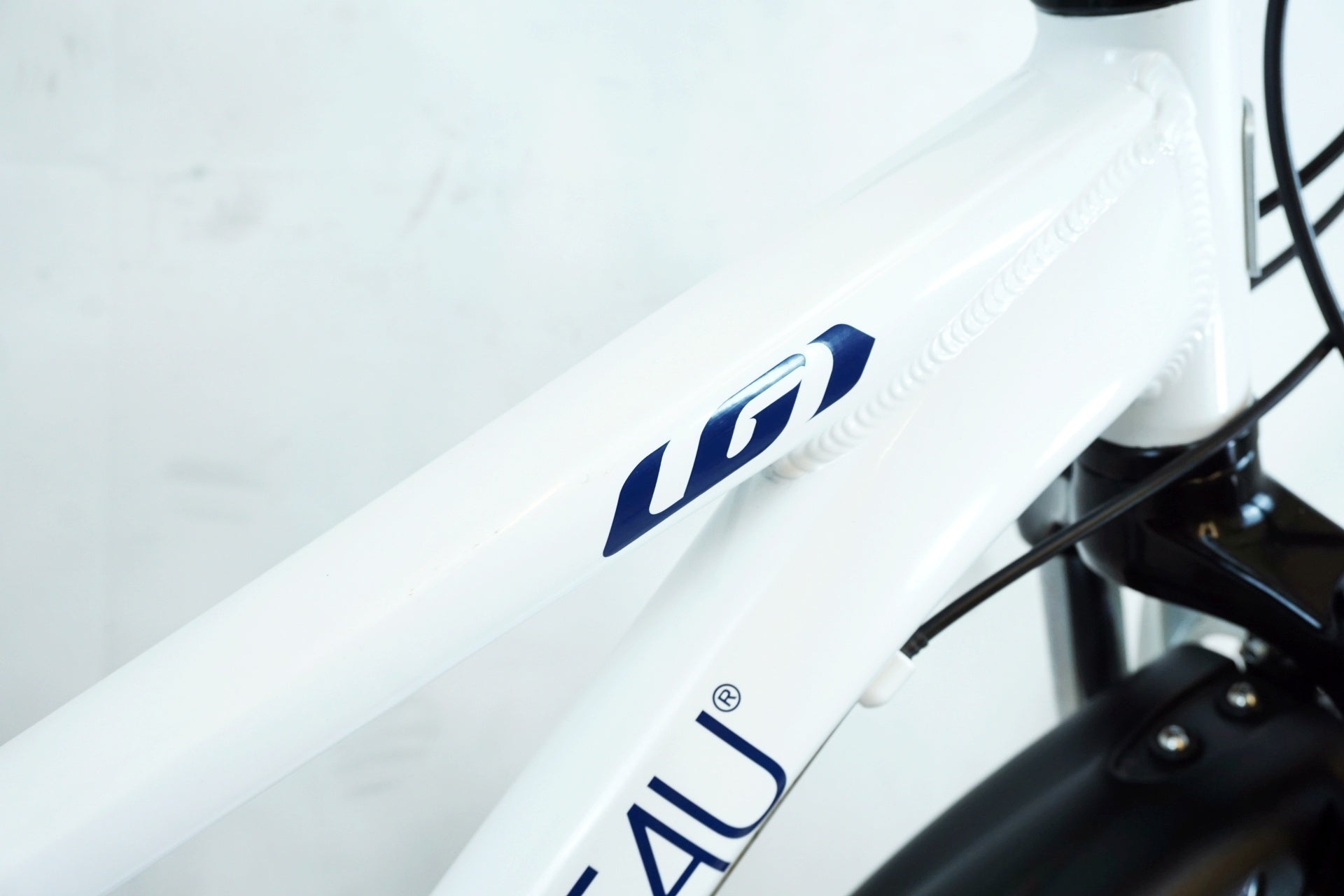 LOUIS GARNEAU 「ルイガノ」 LGS-J24 2021年モデル キッズバイク