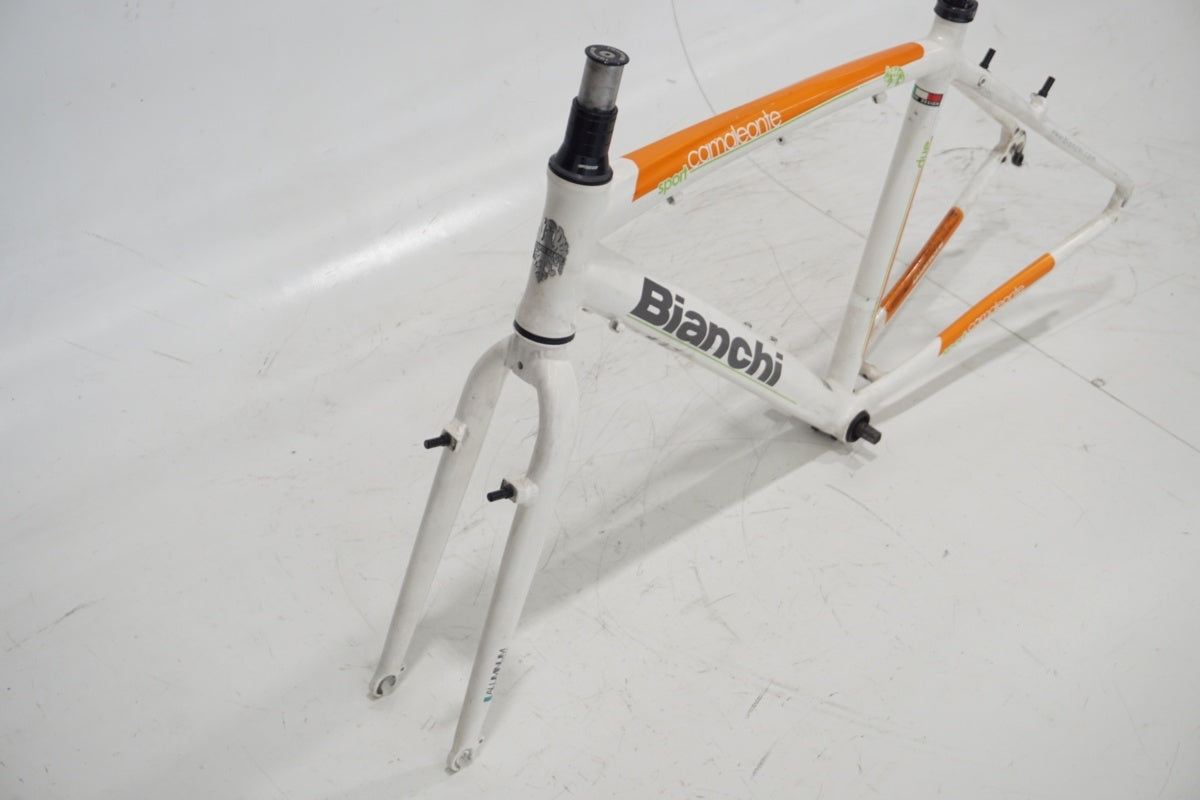 BIANCHI 「ビアンキ」 CAMELEONTE SPORT DUE 2013年モデル フレーム