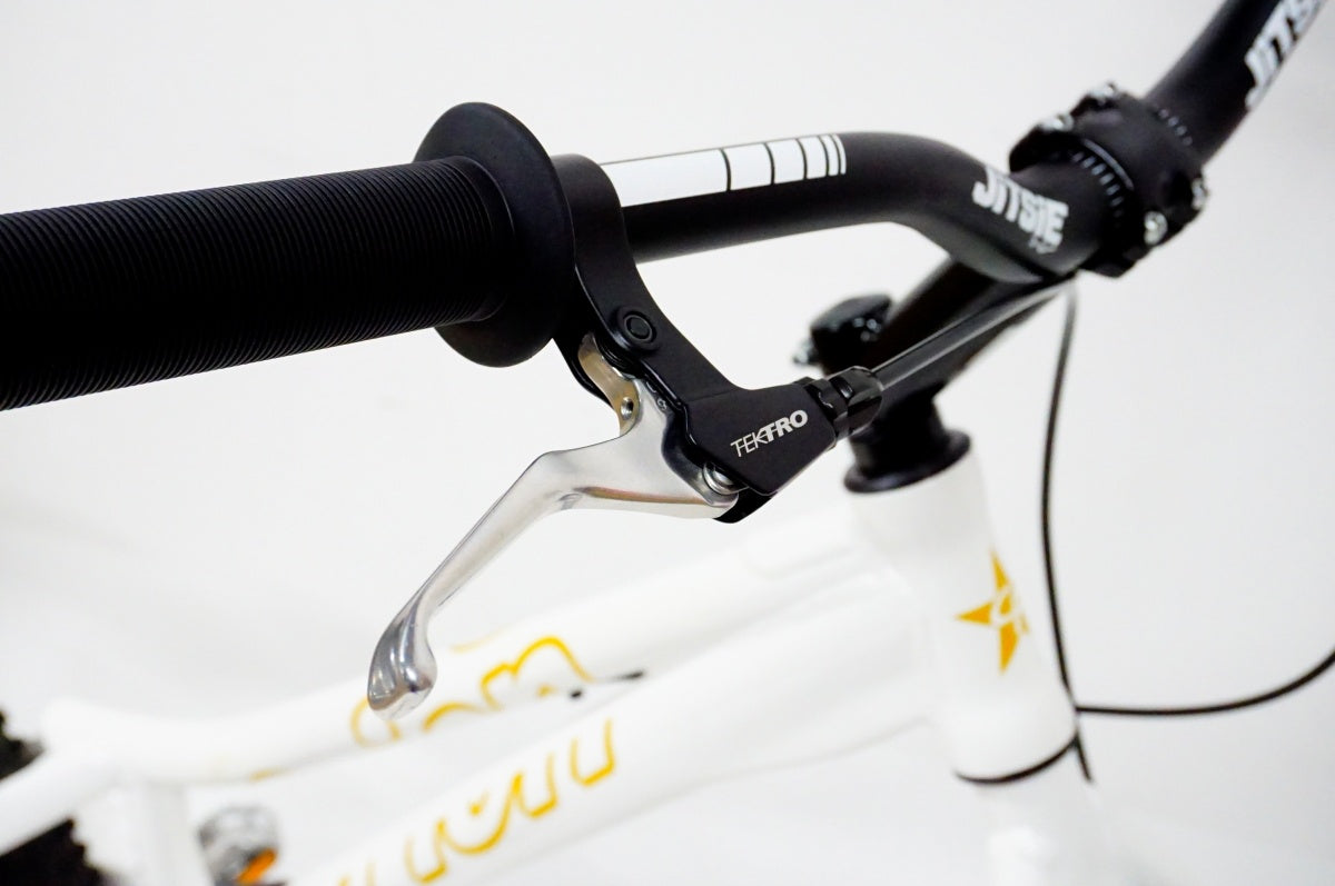 ORION 「オリオン」 TRIAL BIKE 20 2017年頃 トライアルバイク