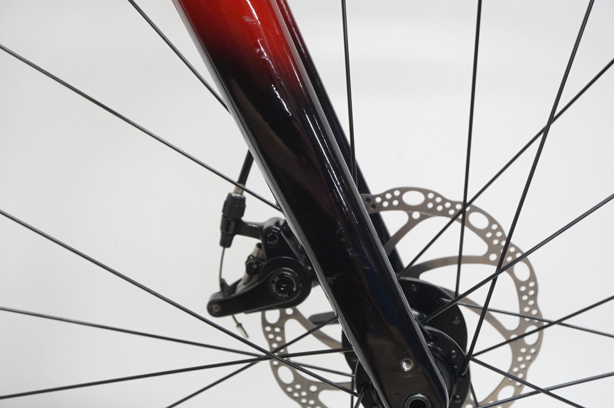 TREK 「トレック」 DOMANE AL2 DISC GEN4 2024年モデル ロードバイク / 福岡店