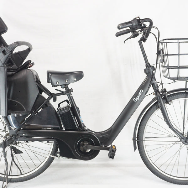 PANASONIC 「パナソニック」 ギュット・アニーズ・DX・26 BE