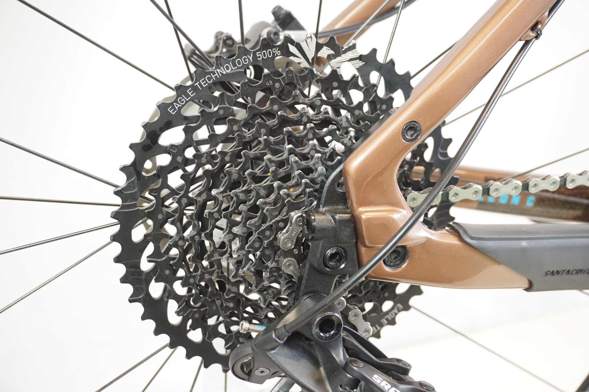 SANTA CRUZ 「サンタクルーズ」 CAMELEON CARBON 2019年モデル 29インチ マウンテンバイク / 宇都宮店