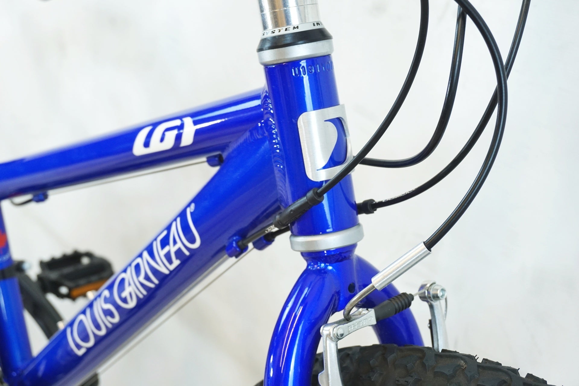 LOUIS GARNEAU 「ルイガノ」 LGS-J22 2019年モデル キッズバイク