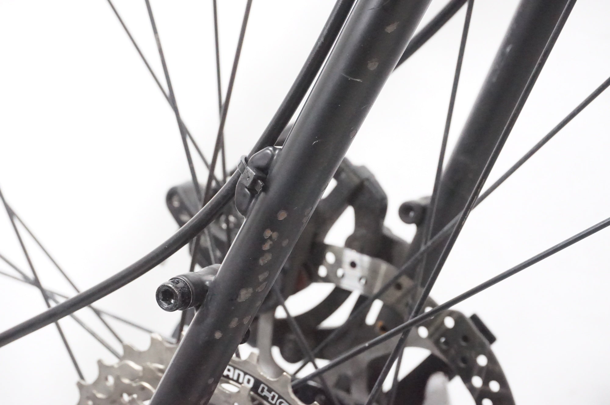 JAMIS 「ジェイミス」 RENEGADE EXPAT 2019年モデル グラベルロード / AKIBA店