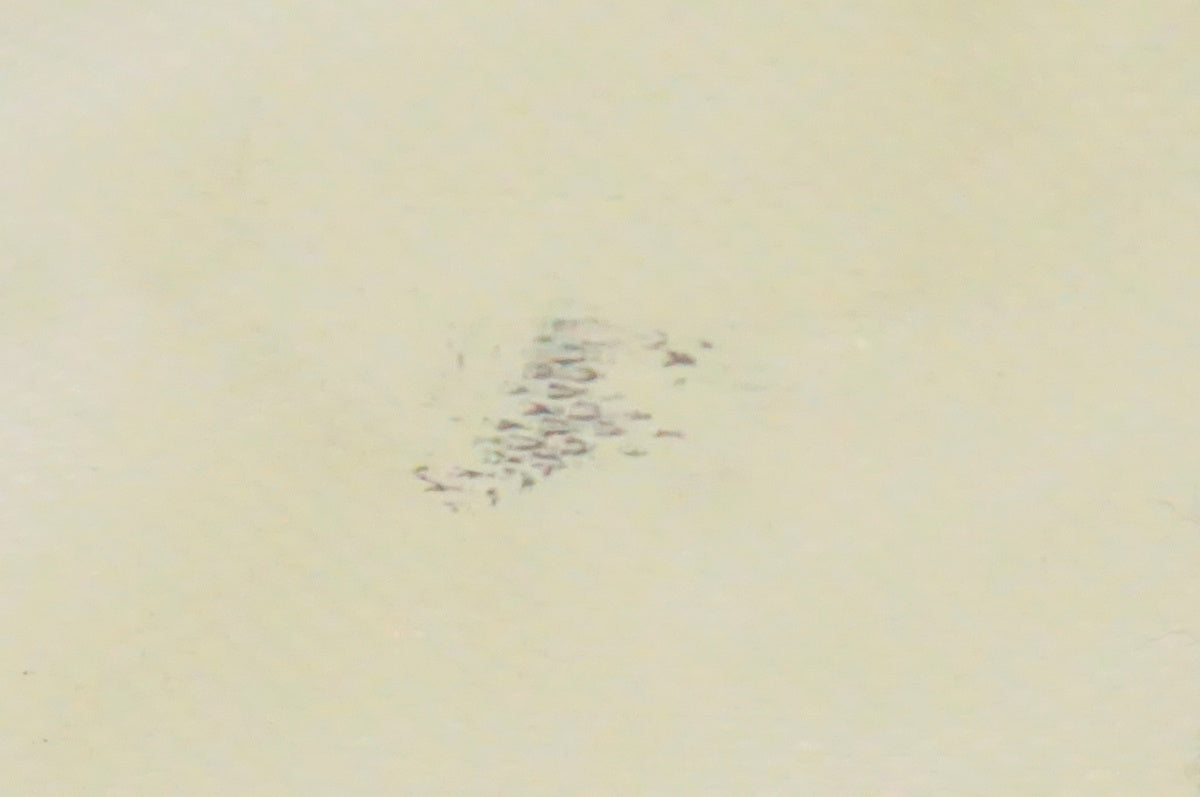 ORTLIEB 「オルトリーブ」 CLASSIC パニアバッグ2個セット / 名古屋大須店