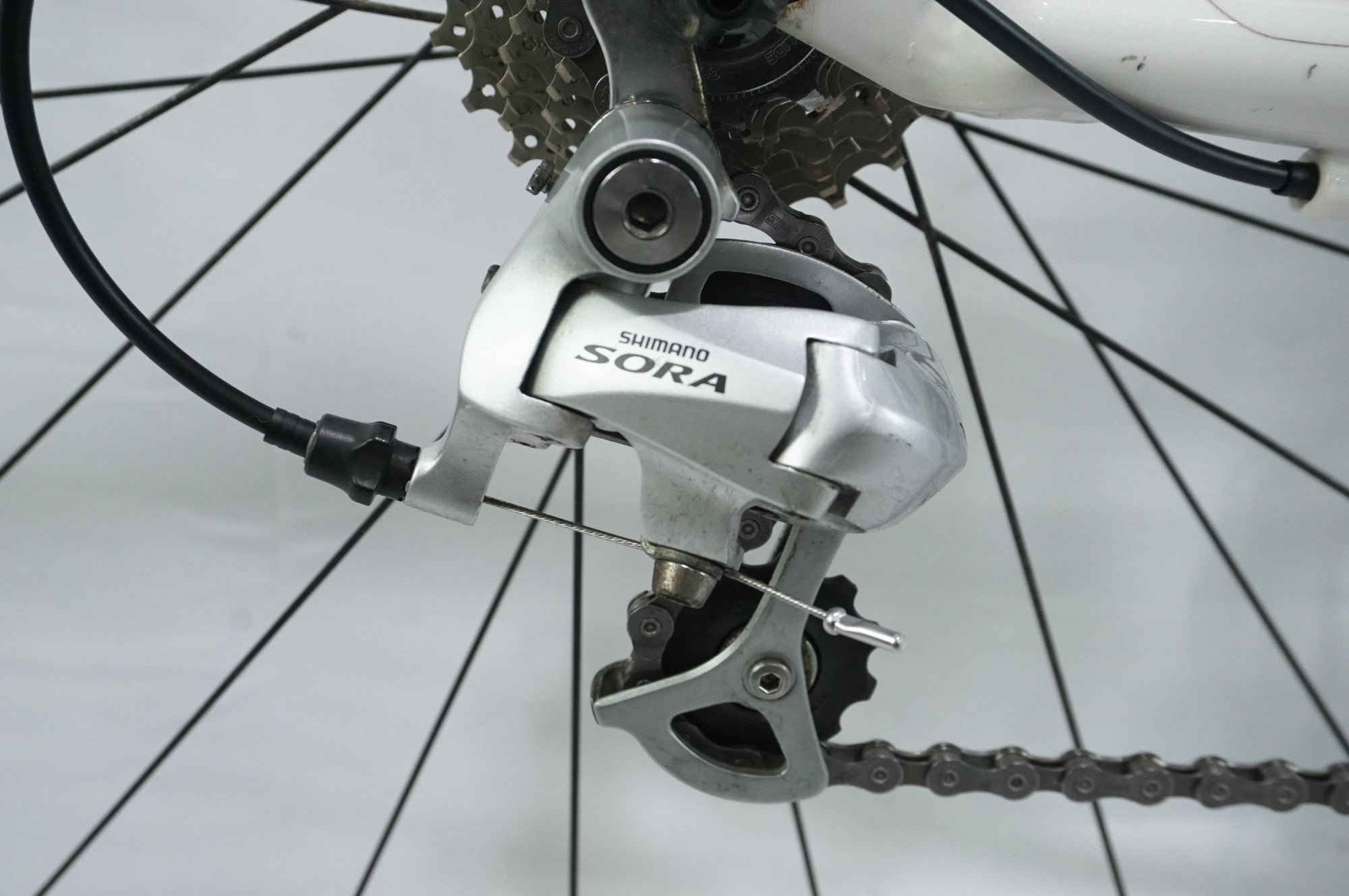 PINARELLO 「ピナレロ」 TREVISO 2011年モデル フラットバーロード / 中目黒店