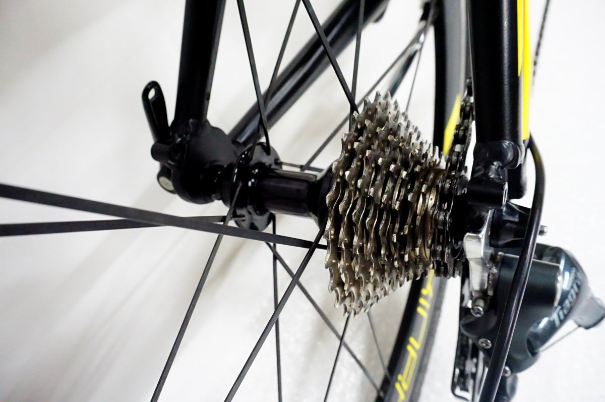 TERN 「ターン」 SURGE PRO 2020年モデル 20インチ ミニベロ / 名古屋大須店