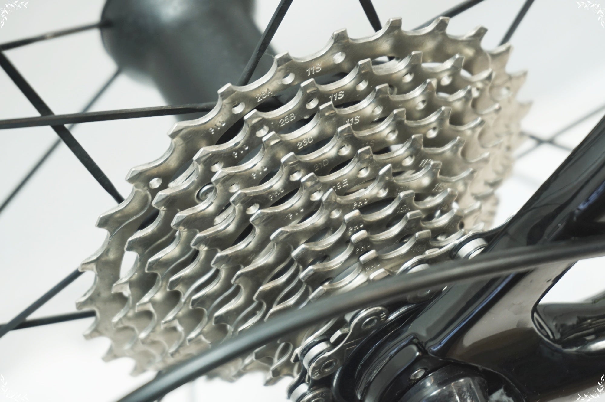 PINARELLO 「ピナレロ」 ANGLIRU 2019年モデル ロードバイク / バイチャリ浦和ベース