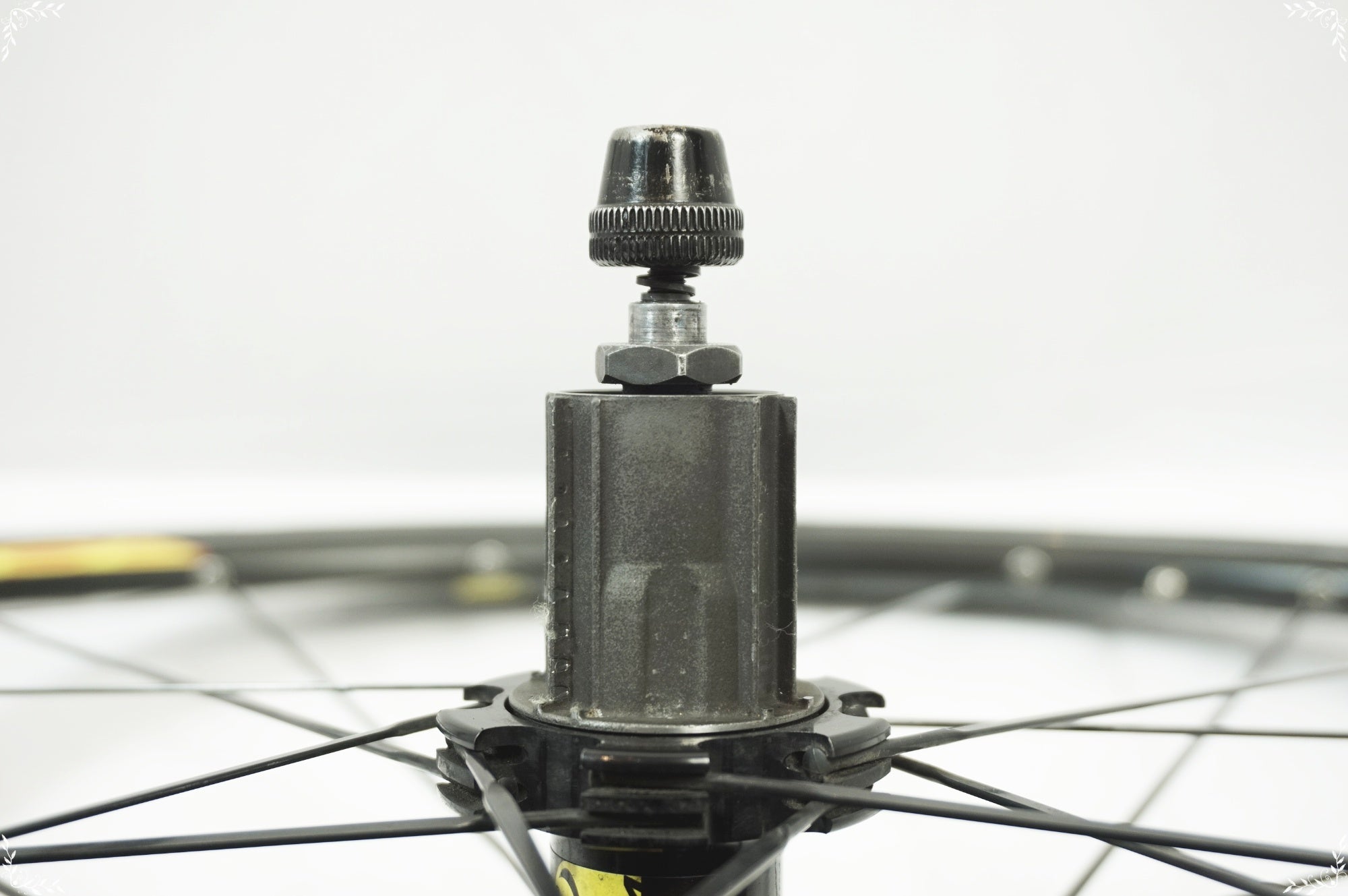 MAVIC 「マヴィック」 AKSIUM RACE カンパフリー ホイールセット / 世田谷店