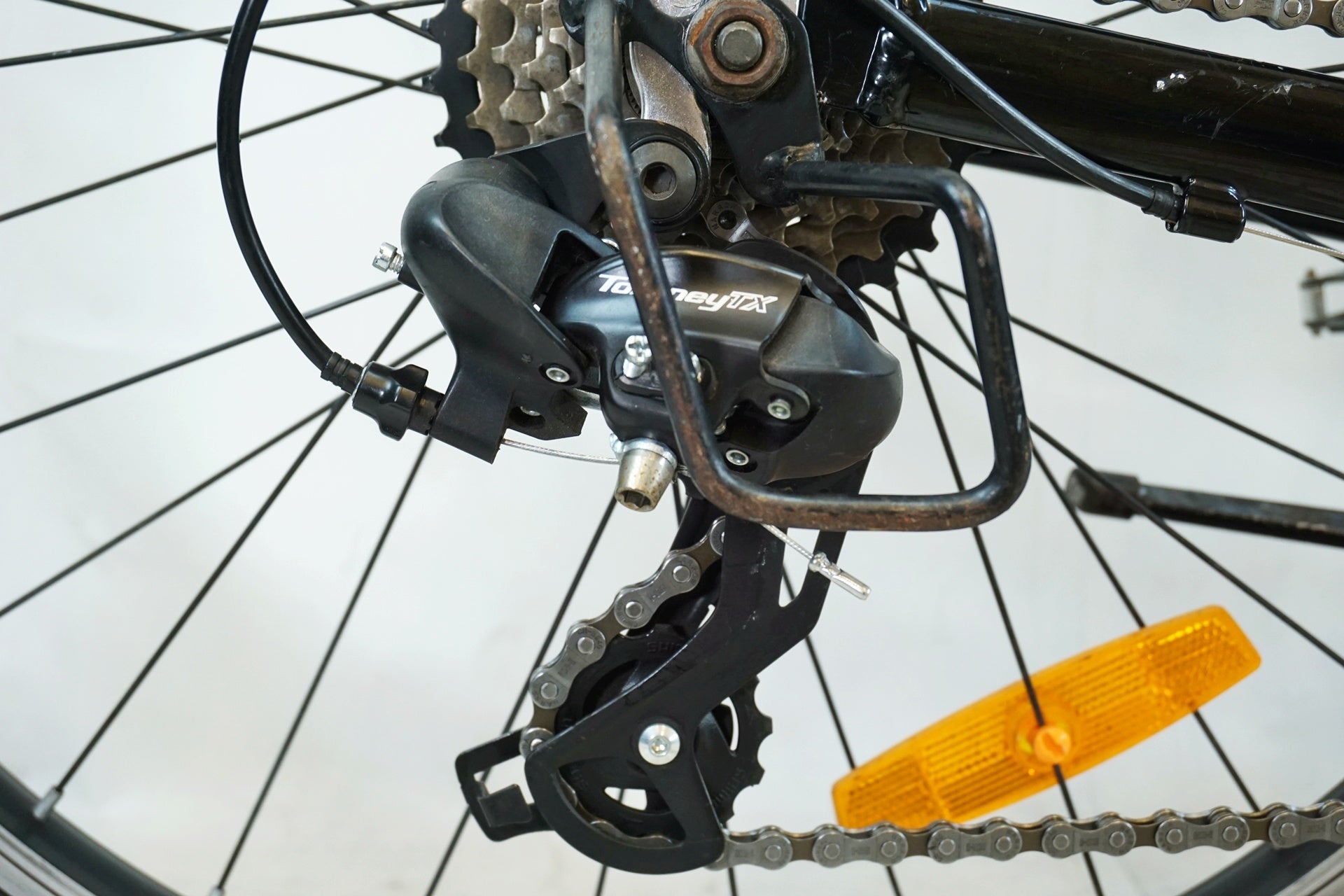 TREK 「トレック」 PRECALIBER 24 2023年モデル キッズバイク / 有明