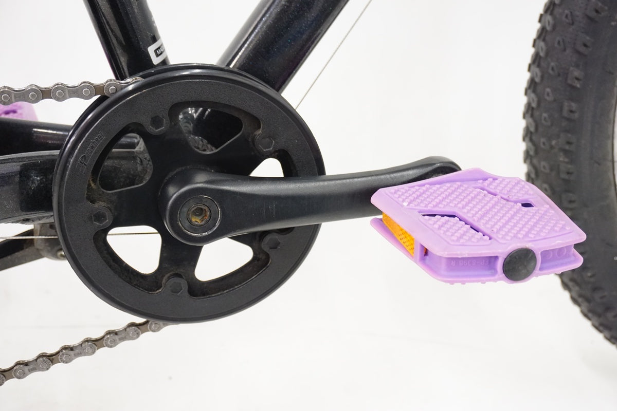 TREK「トレック」 PRECALIBER 20 20インチ 2020年モデル キッズバイク / 浜松店