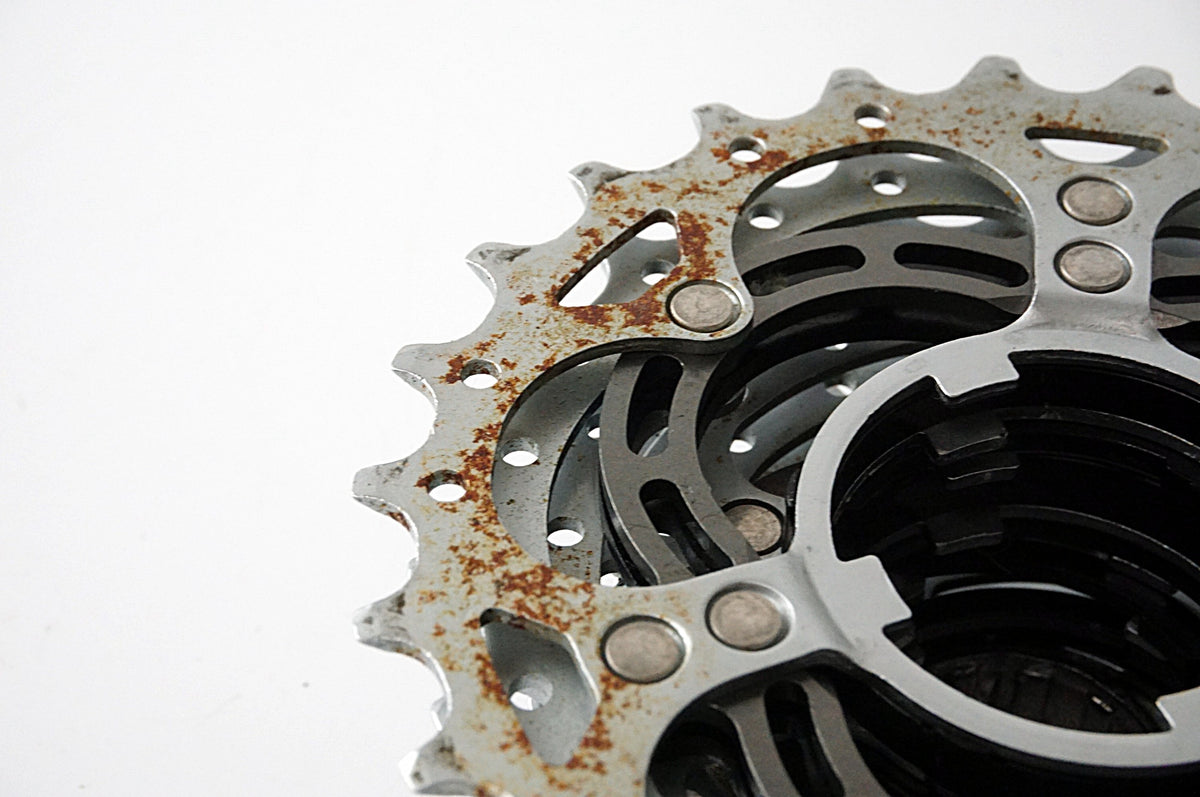 CAMPAGNOLO 「カンパニョーロ」 12-25T スプロケット / 浜松店