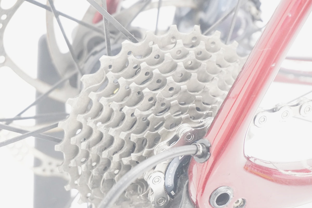 TREK 「トレック」 EMONDA SL 6 DISC 2019年モデル ロードバイク / 京都八幡店