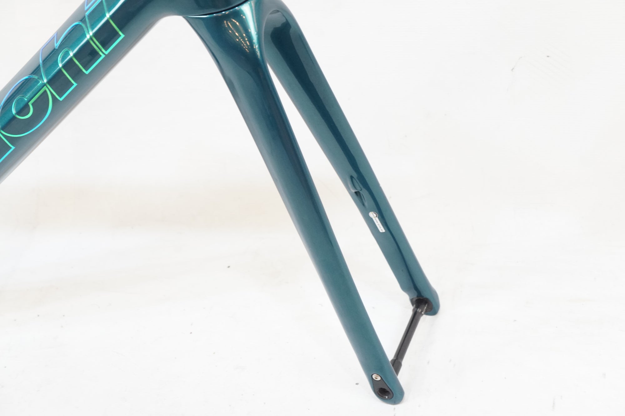 BIANCHI 「ビアンキ」 SPECIALISSIMA DISC 2022年モデル フレーム