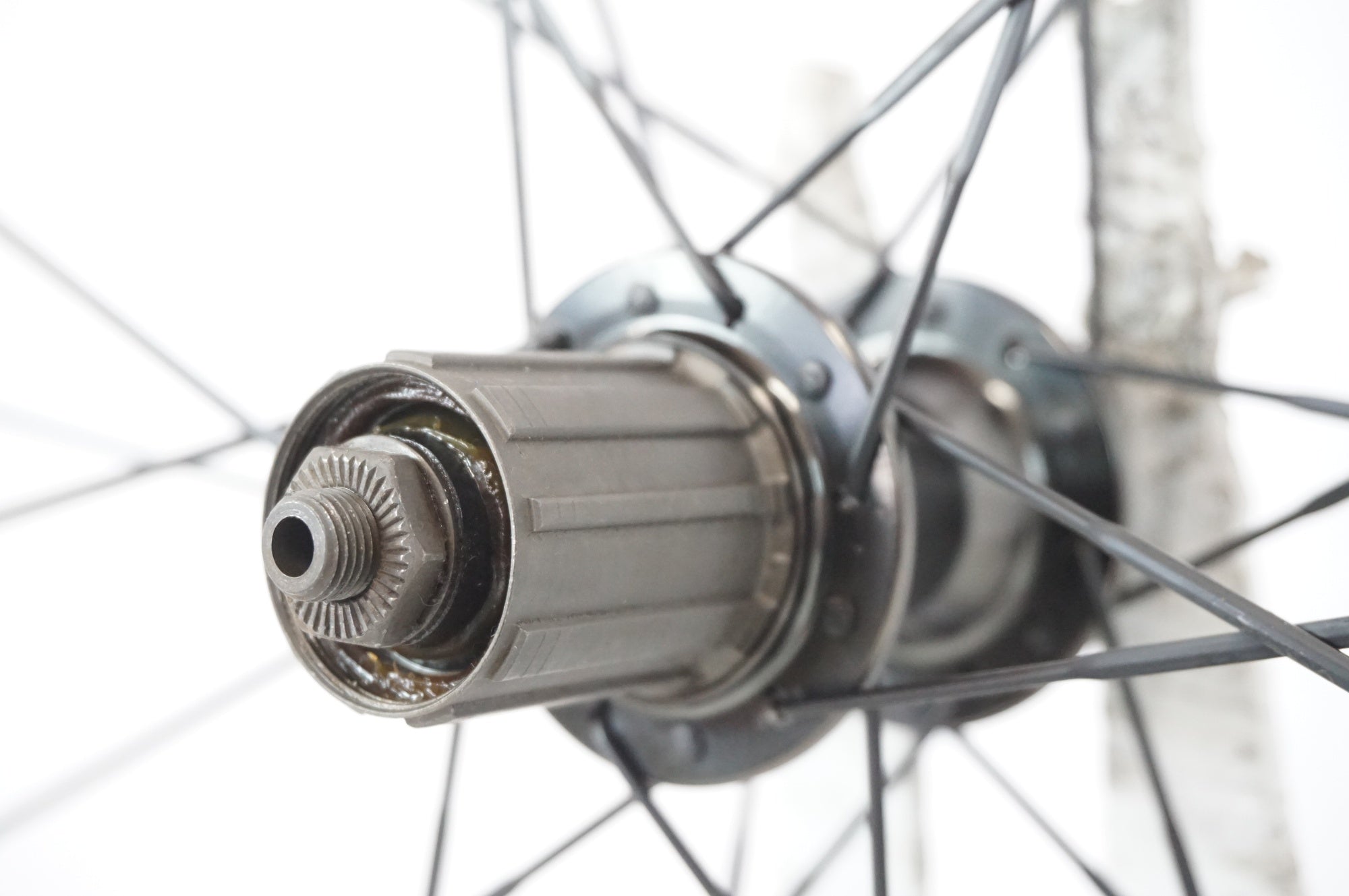 BONTRAGER 「ボントレガー」 TLR SHIMANO 11s ホイールセット / 宇都宮