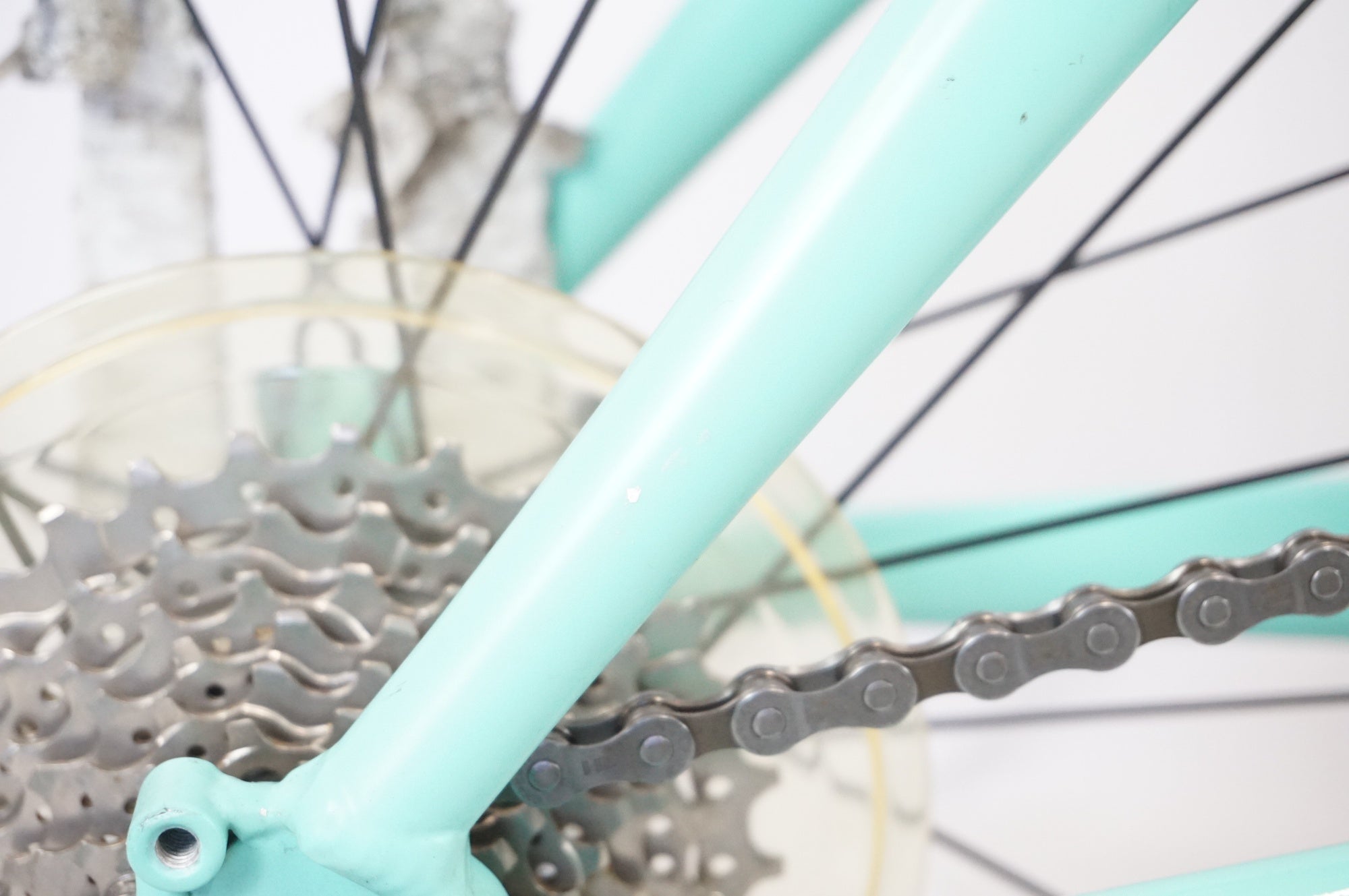 TERN 「ターン」 SURGE 2024年モデル FLAMEBIKE限定 20インチ ミニベロ
