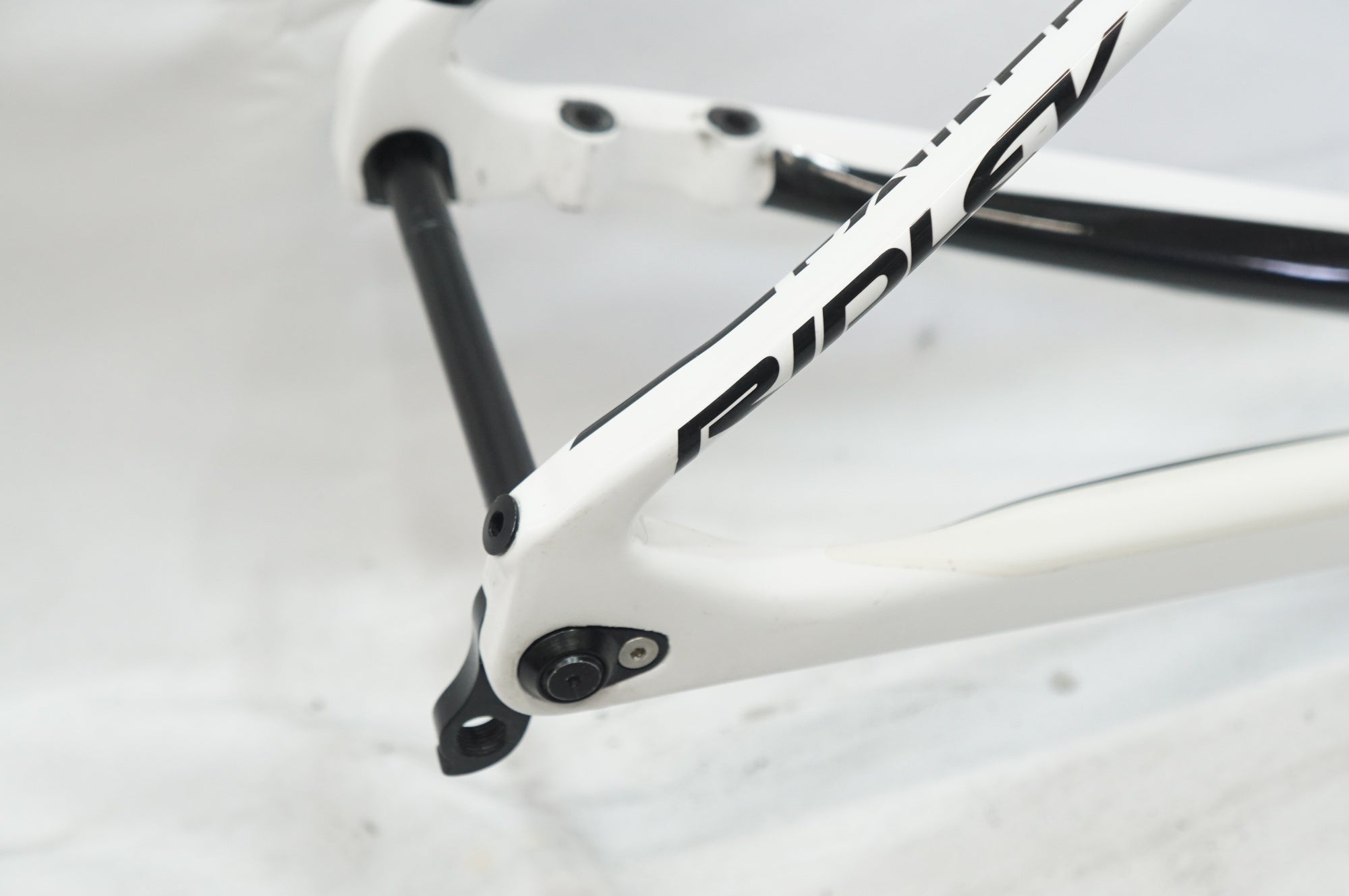 RIDLEY 「リドレー」 FENIX SL DISC 2019年モデル フレームセット / 大宮店