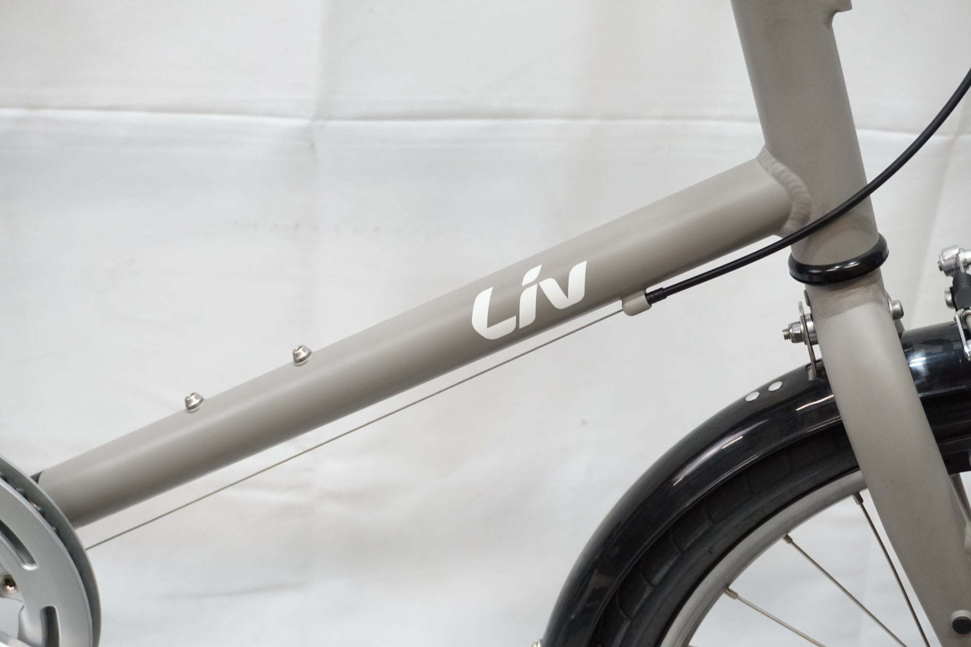 GIANT 「ジャイアント」 LIV AMICA 2021年モデル 20インチ ミニベロ