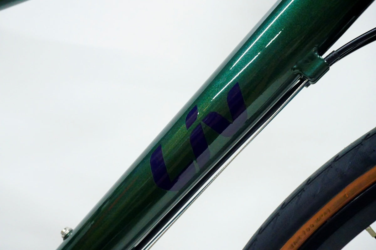 GIANT 「ジャイアント」 LIV ESCAPE R W DISC 2021年モデル