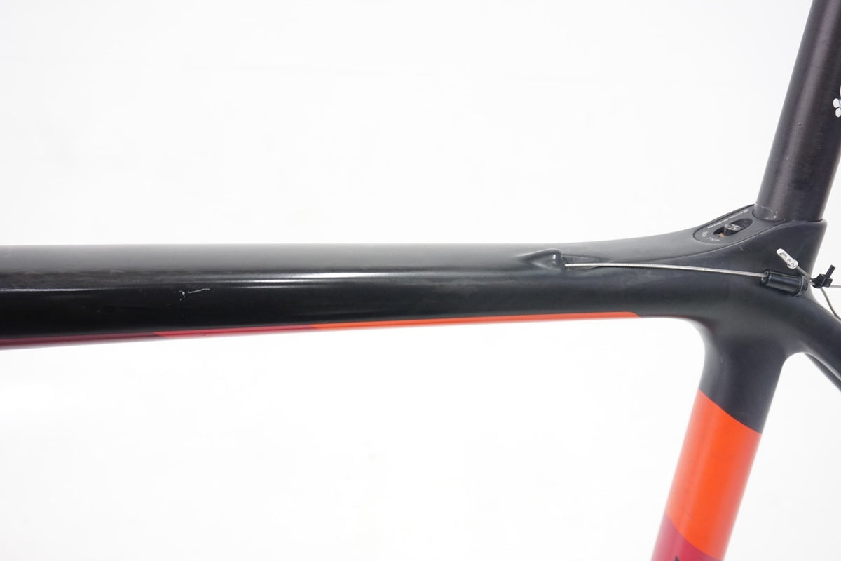 COLNAGO「コルナゴ」 CLX 2019年モデル フレームセット / 浜松店