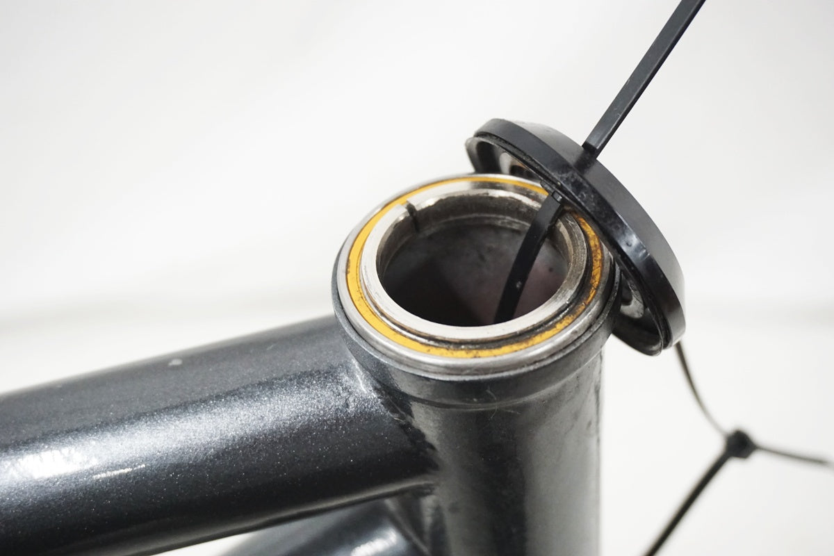 INZIST BICYCLE 「インジストバイシクル」 SLAVE 年式不明 フレーム