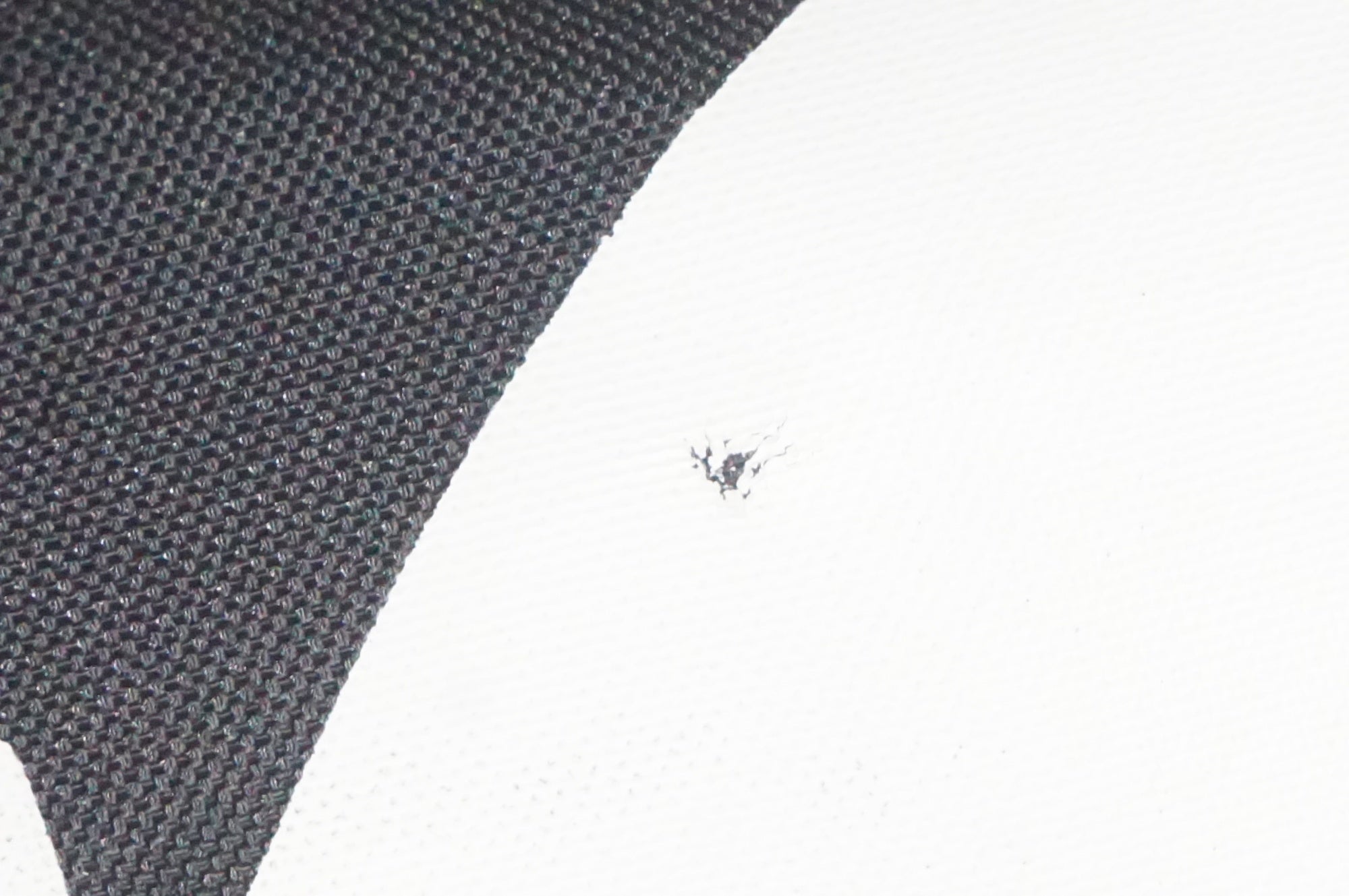 CAMPAGNOLO 「カンパニョーロ」 ホイールバッグセット / AKIBA店