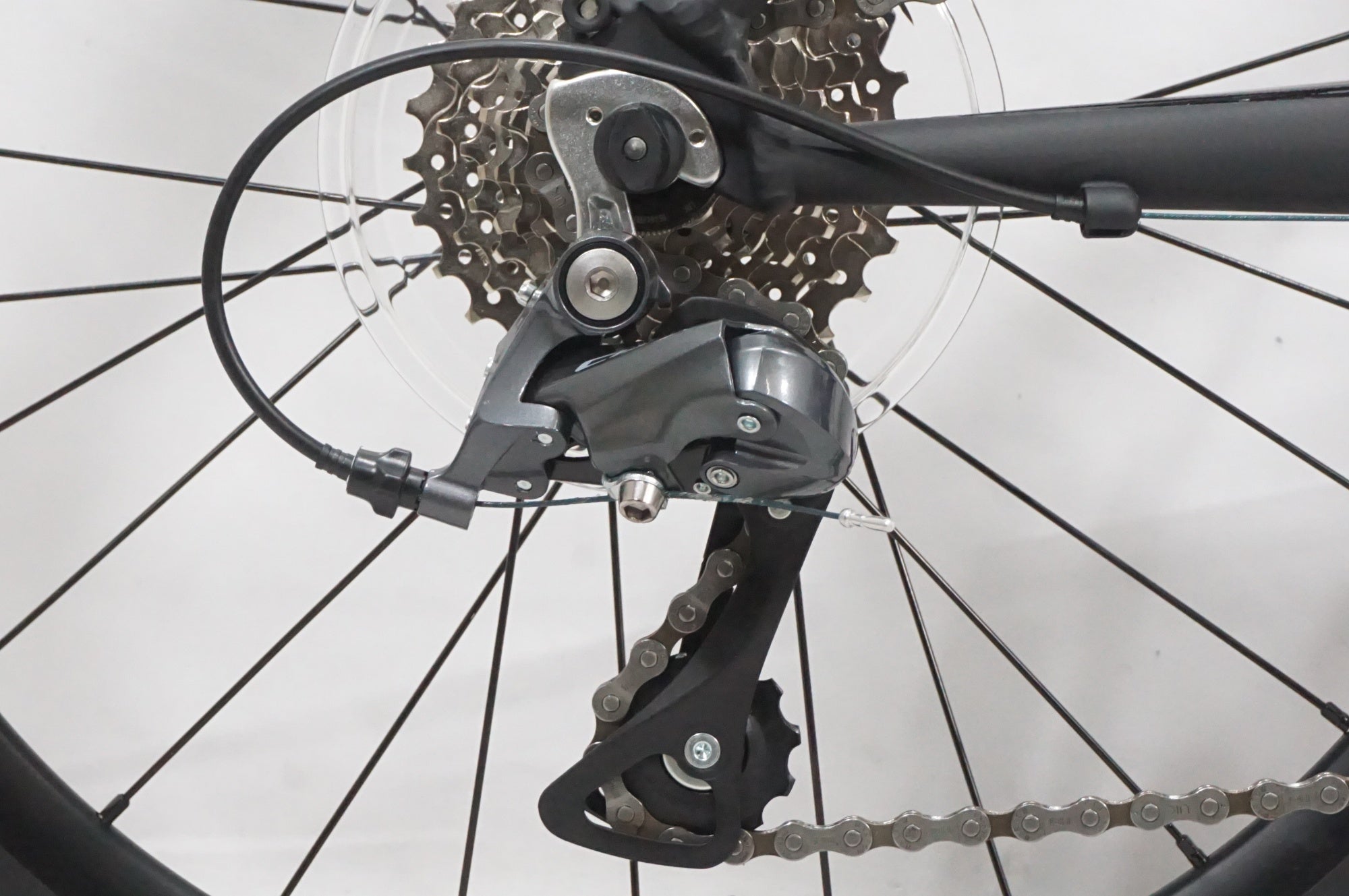 TERN 「ターン」 SURGE 2025年モデル 20インチ ミニベロ / AKIBA店