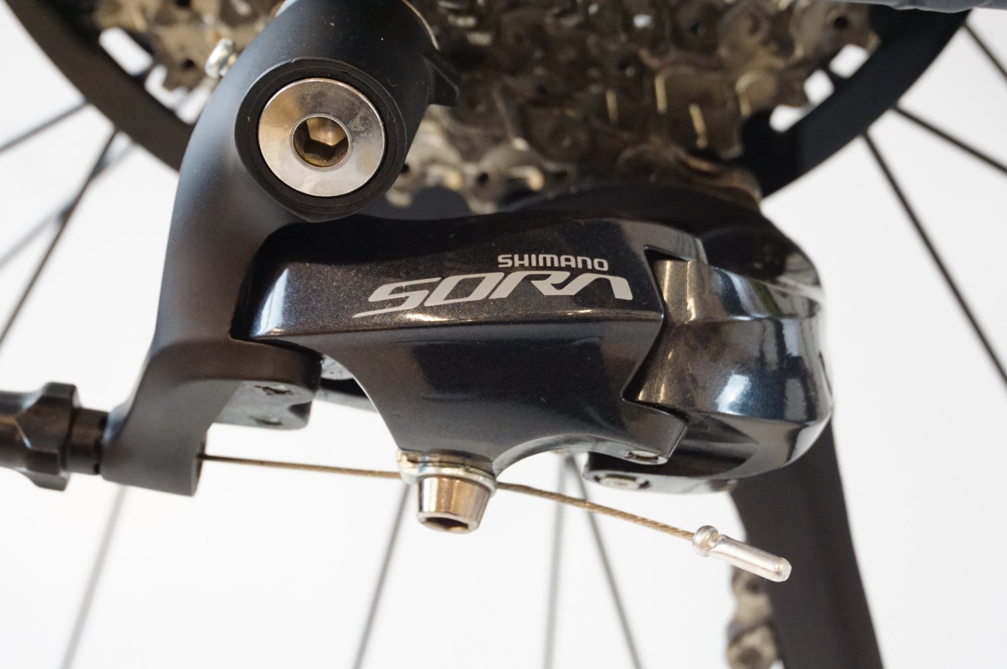 スペシャライズド クロスバイク２０１９年 2019 スペシャライズド シラス MEN スポーツ - 轍屋自転車店