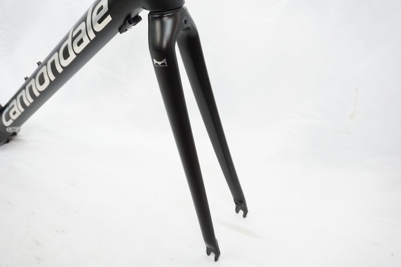 CANNONDALE 「キャノンデール」 SUPERSIX EVO HI-MOD 2018年モデル カスタムペイント ロードバイク フレームセット / 川越店