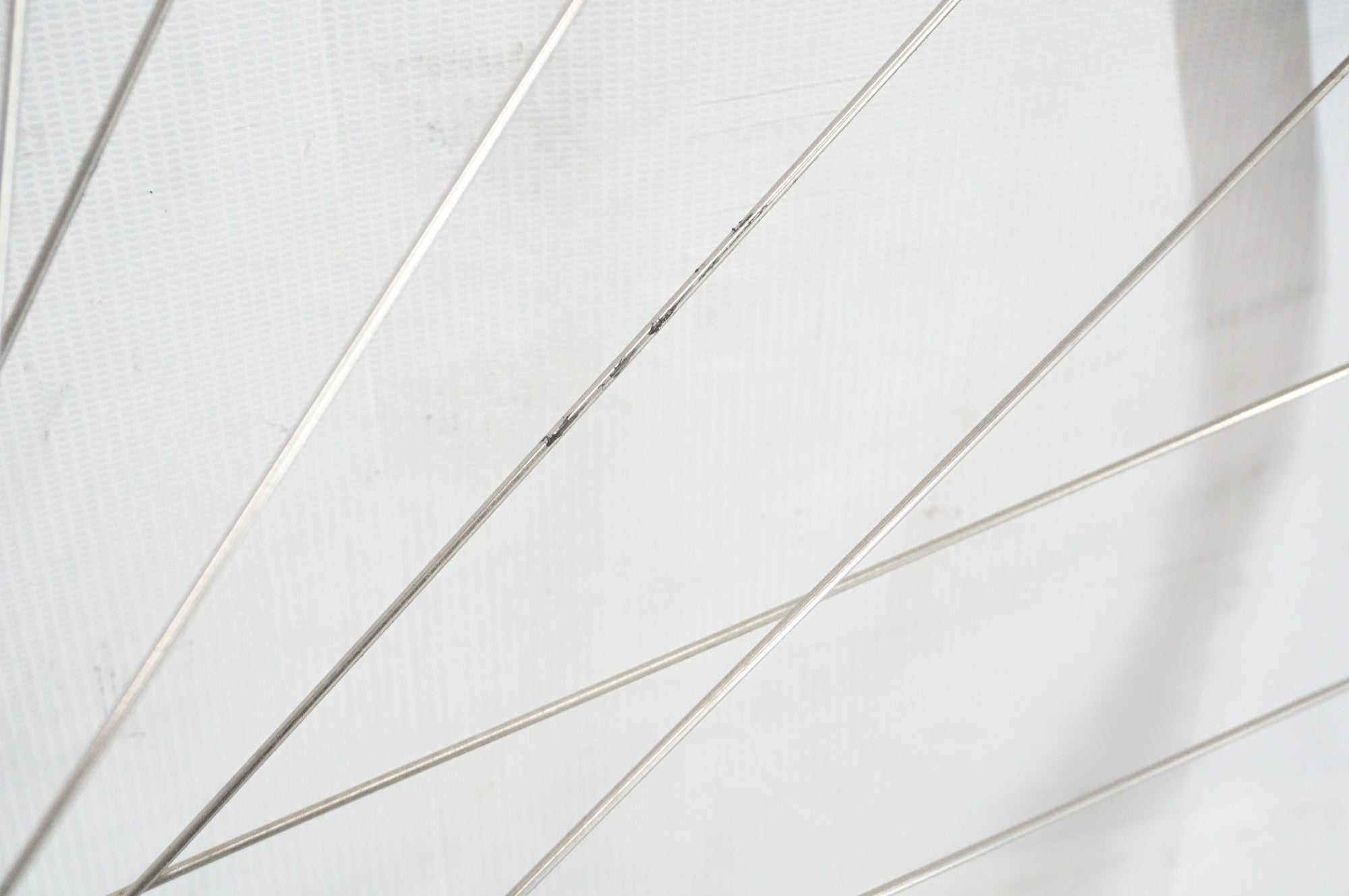 TNI 「ティーエヌアイ」 ハブ/AMBROSIO リム カンパフリー ホイールセット / 阪急塚口店