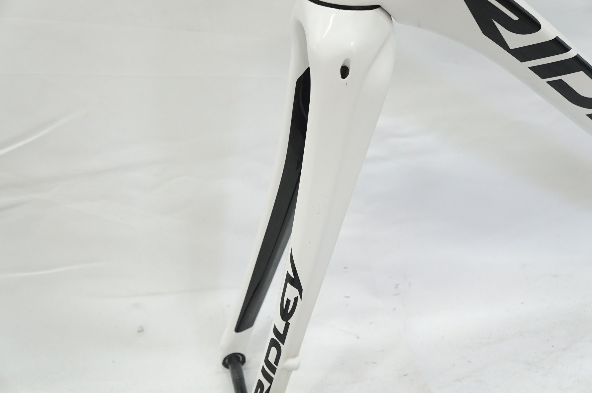 RIDLEY 「リドレー」 FENIX SL DISC 2019年モデル フレームセット / 大宮店