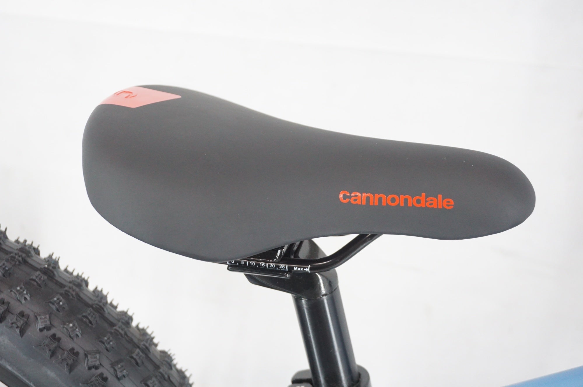 CANNONDALE 「キャノンデール」 CUJO 20+ 2022年モデル キッズバイク / 阪急塚口店