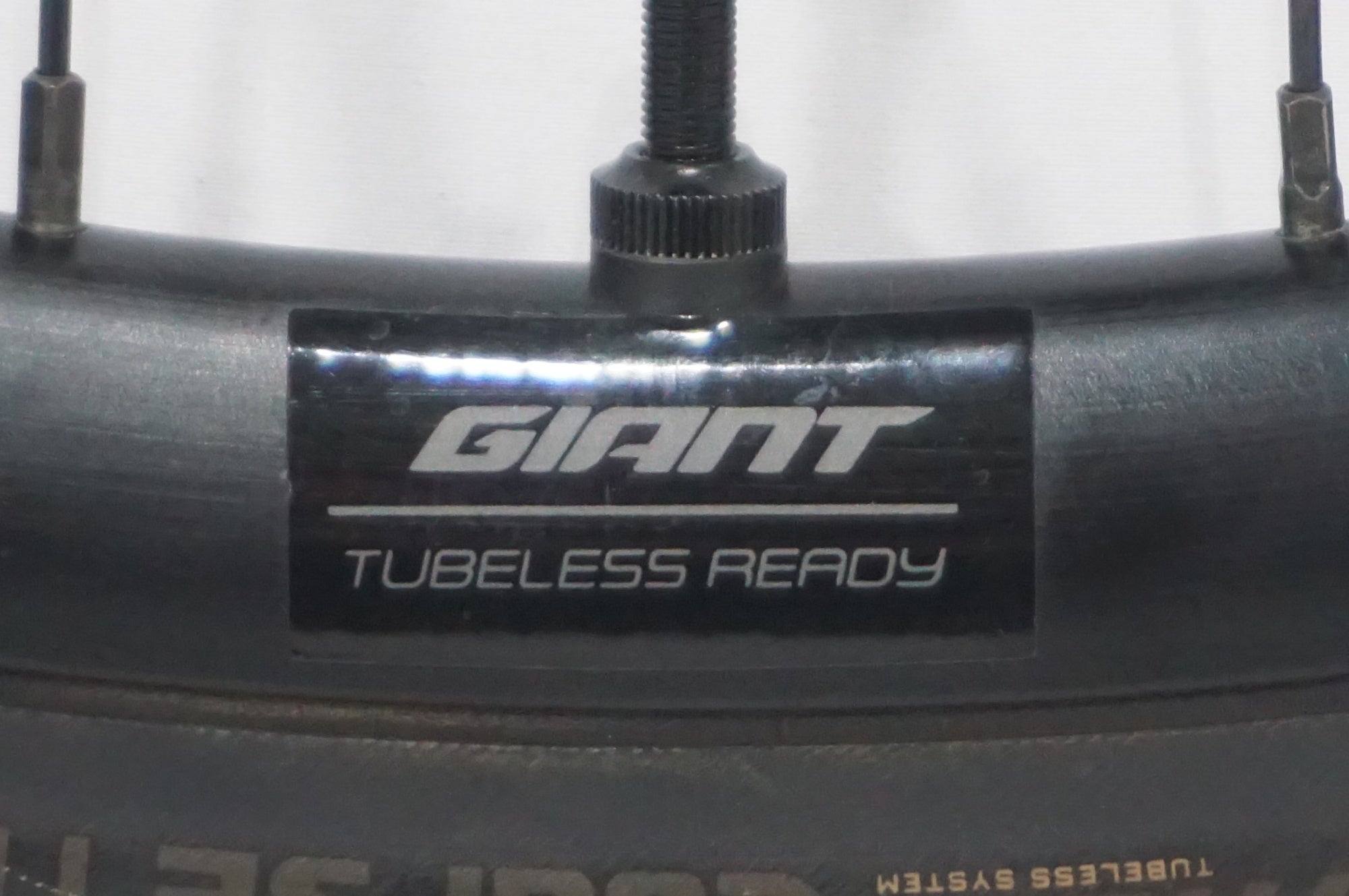 GIANT 「ジャイアント」 PR-2 DISC シマノ11速 ホイールセット / AKIBA