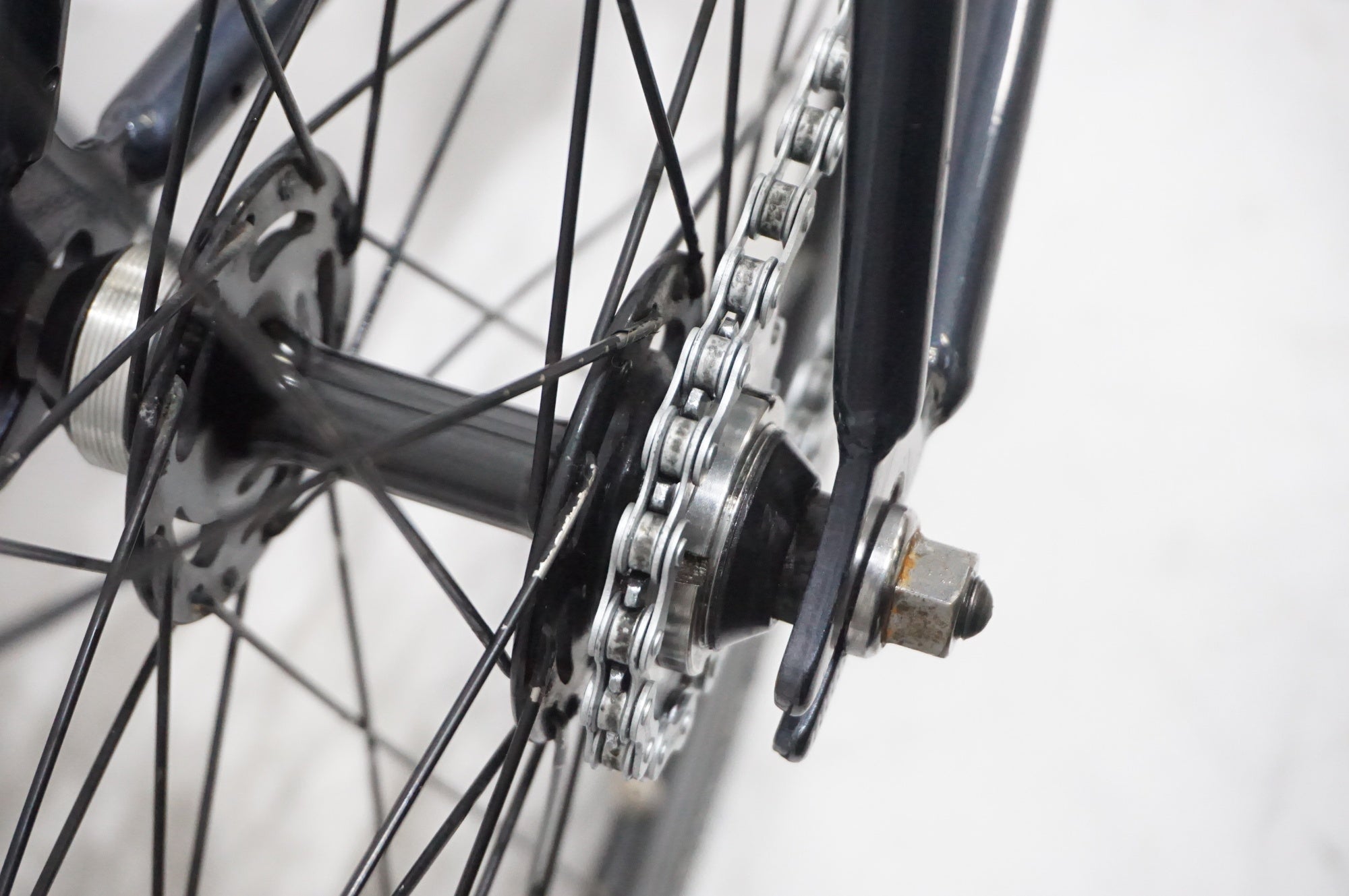 LEADER BIKES 「リーダーバイクス」 ANGELINO PTG 2024年モデル ピスト