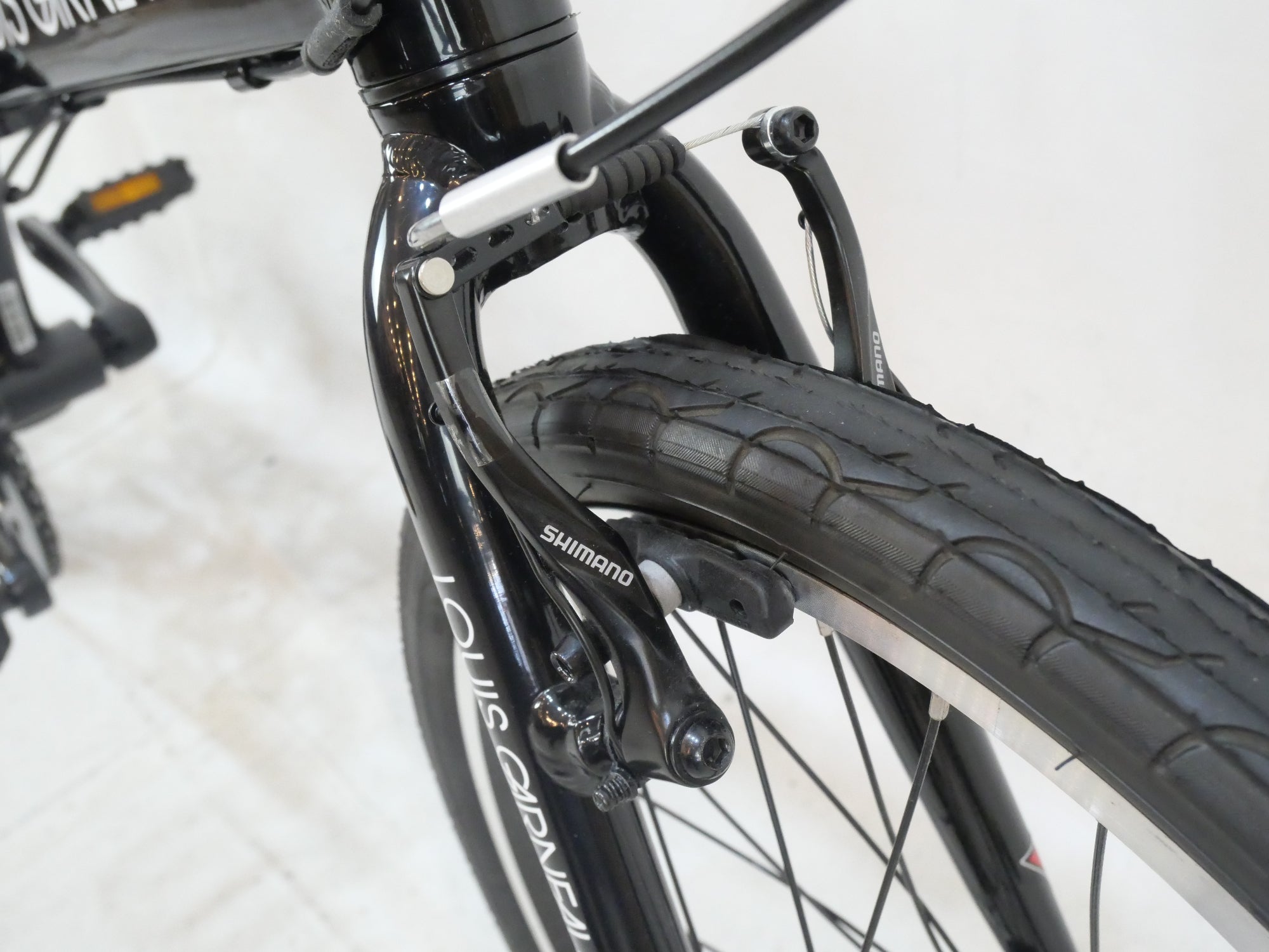 LOUIS GARNEAU 「ルイガノ」 EASEL 6.0 2021年モデル 20インチ 折り畳み自転車 / バイチャリ浦和ベース