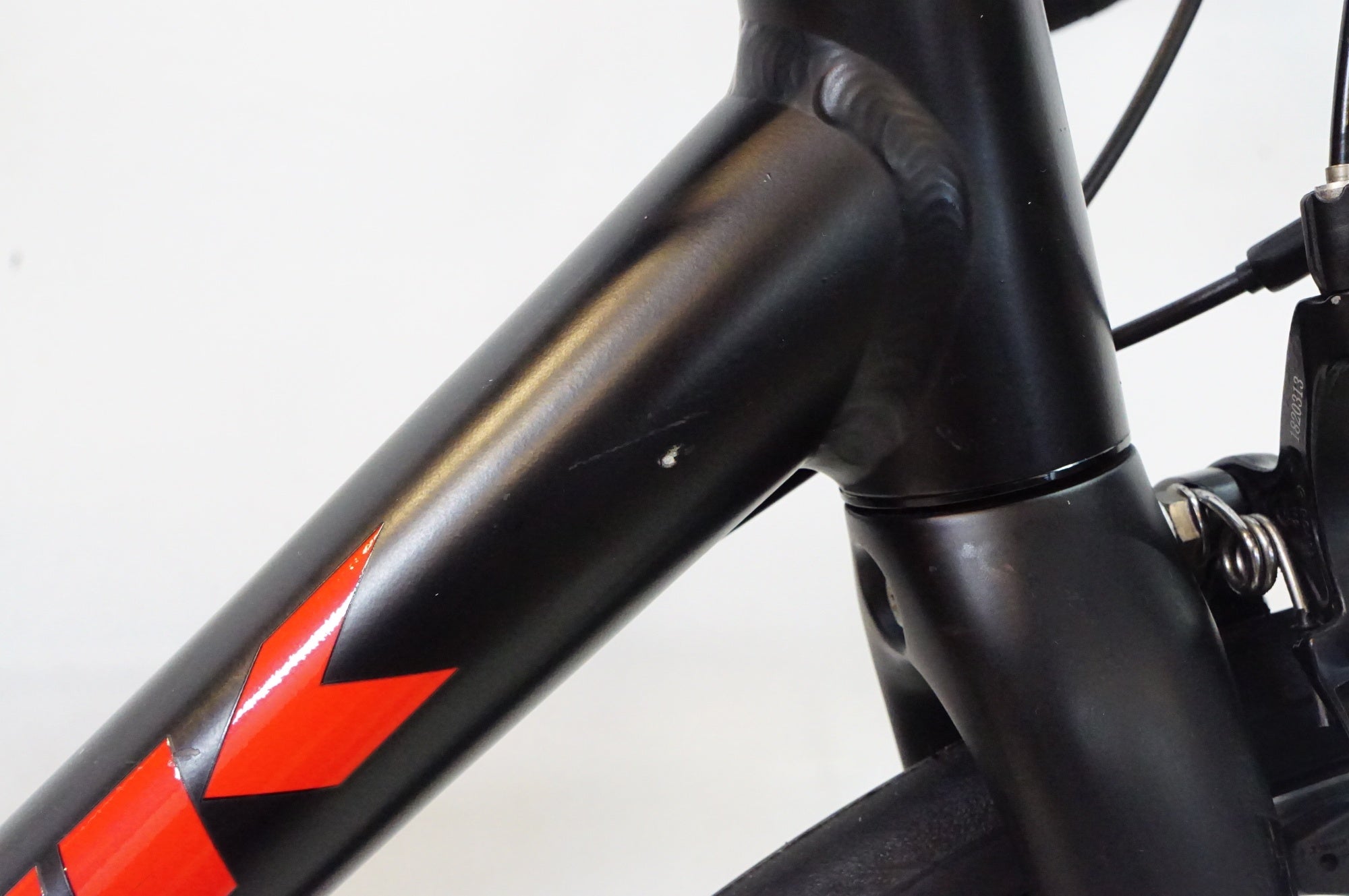 TREK 「トレック」 DOMANE AL 2 2020年モデル ロードバイク / 熊谷本店